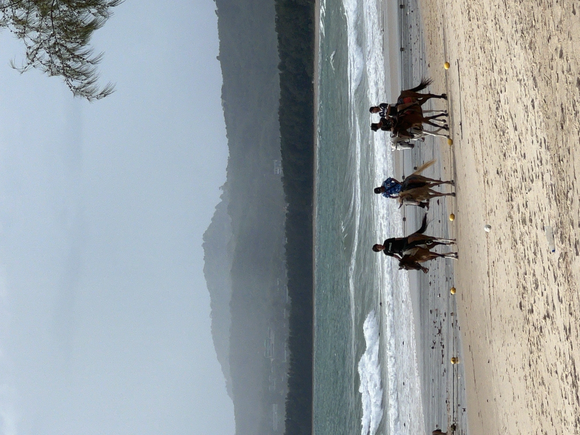 Beach horseback riding and swimming activity documented at coastal resort