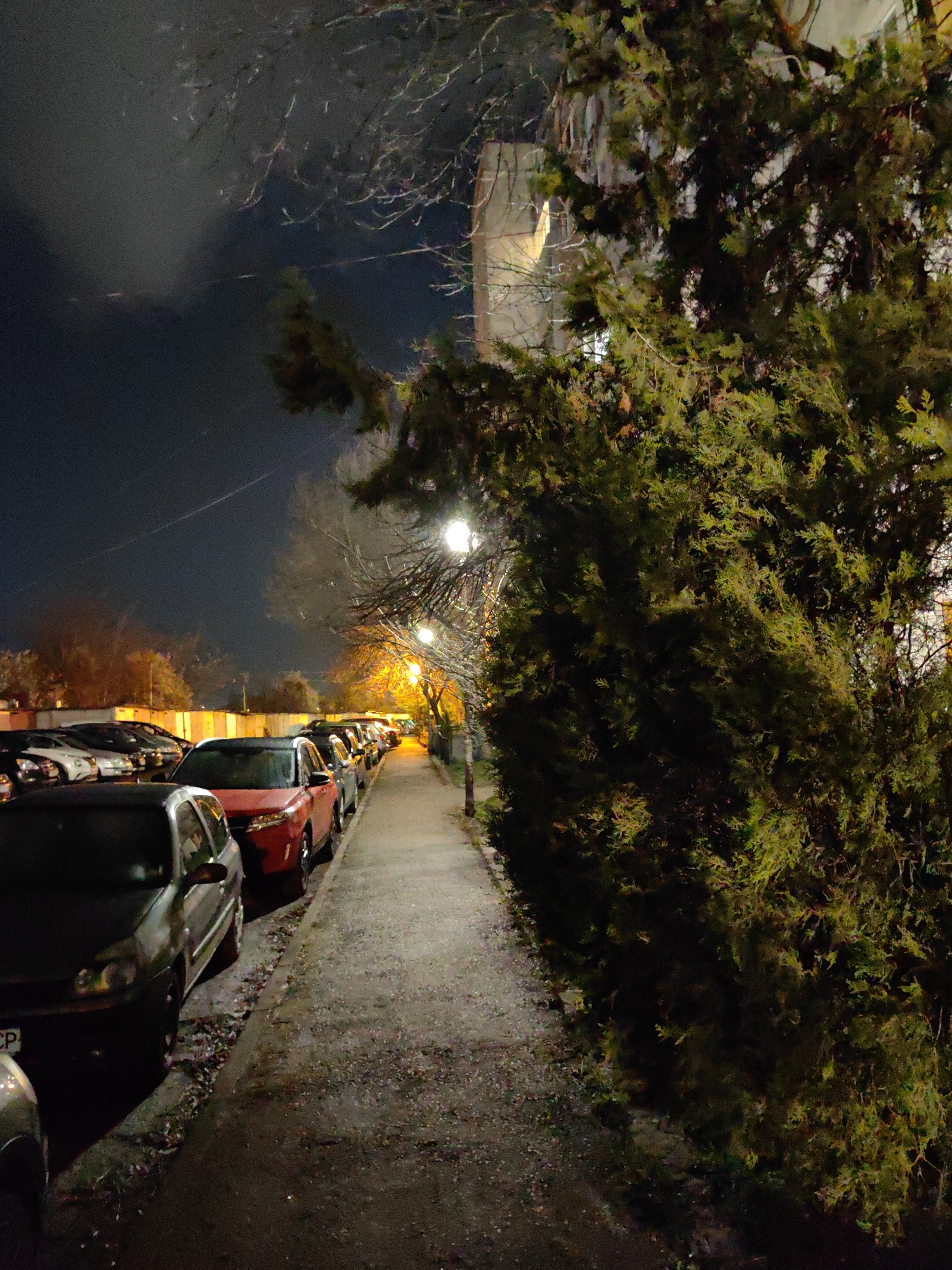 Nighttime street scene documented in Sofia, Bulgaria