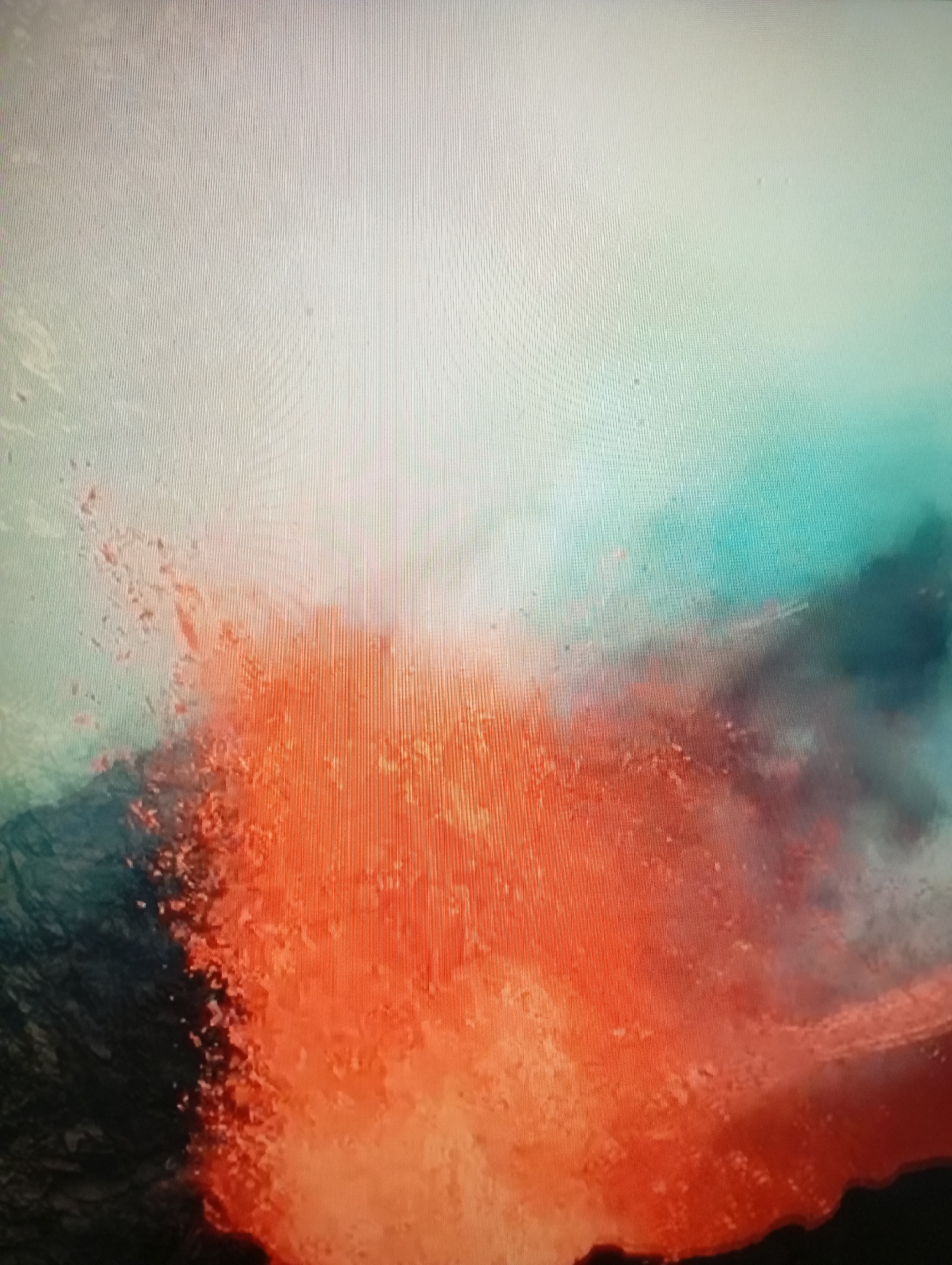 Random mix of digital imagery spanning nature, sports, and everyday objects.