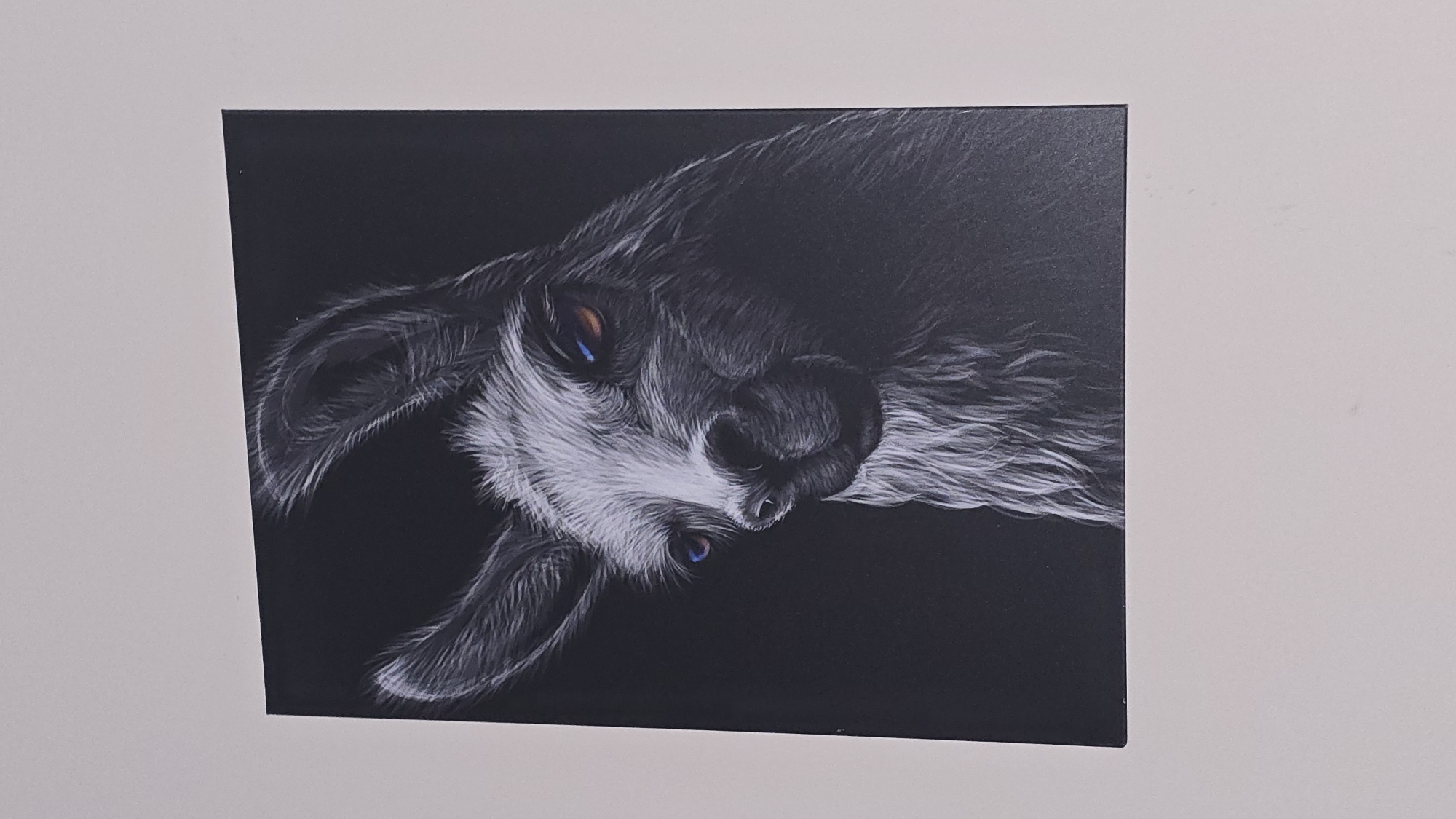 Dog portrait artwork spotted on indoor wall