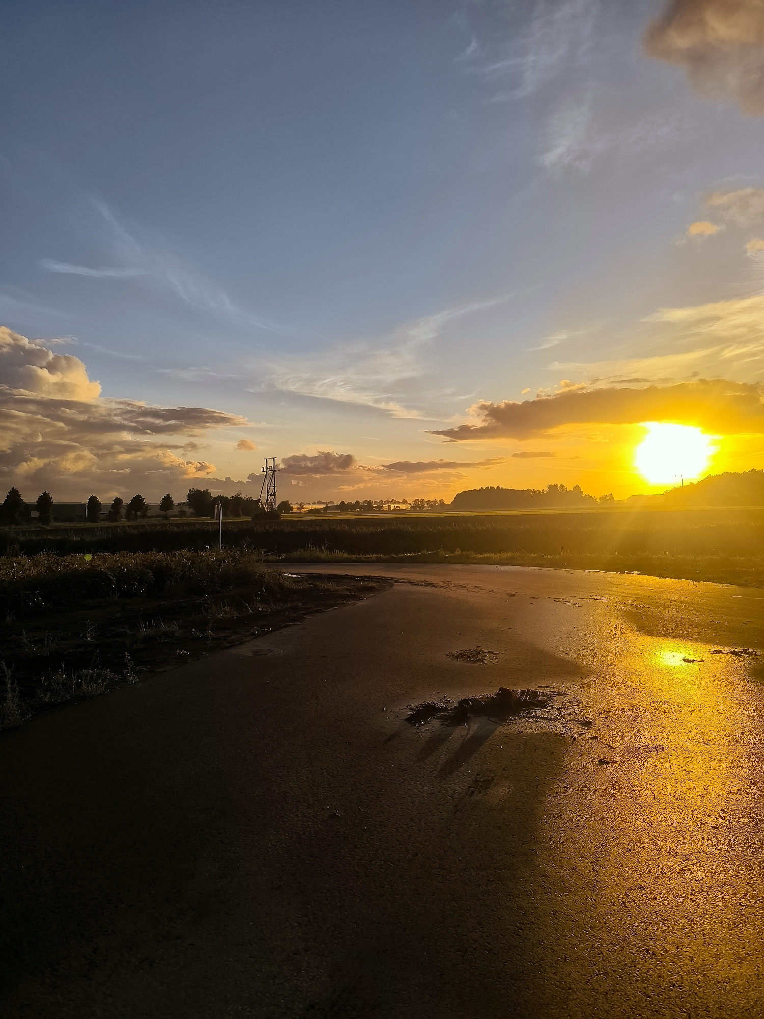 Golden sunset reflects off a wet rural road in Andijk