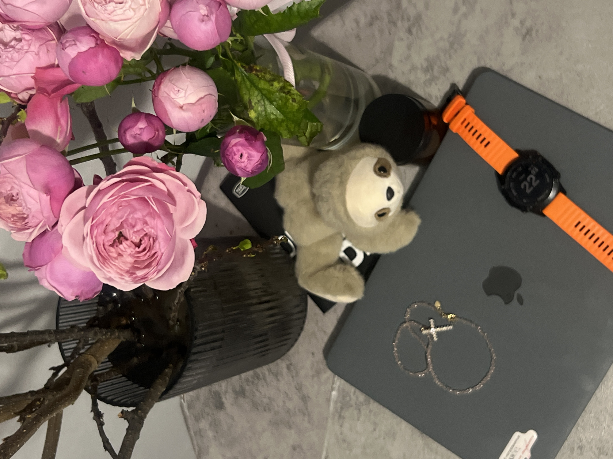 Domestic scene with cat, flowers, laptop documented in Kazan