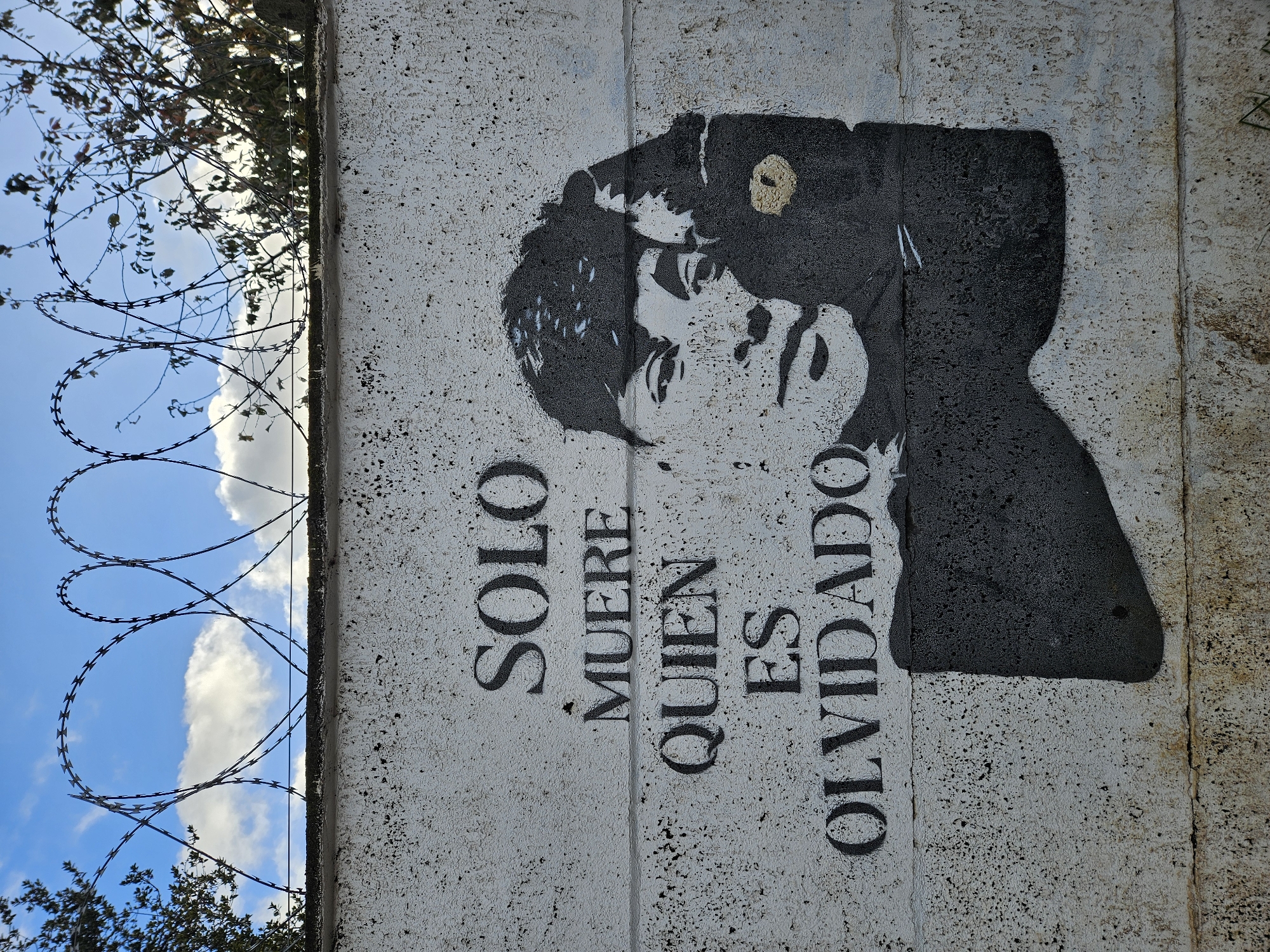 Street art documented on barbed wire-topped wall in Temuco
