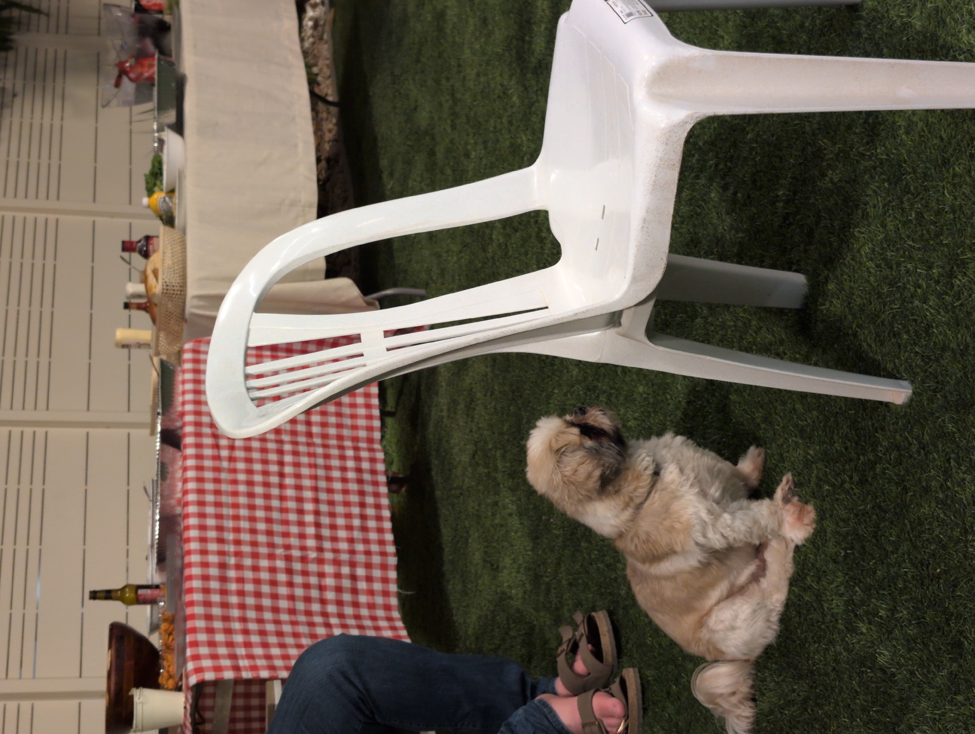 Backyard party in Lod with food, football, and milestone years