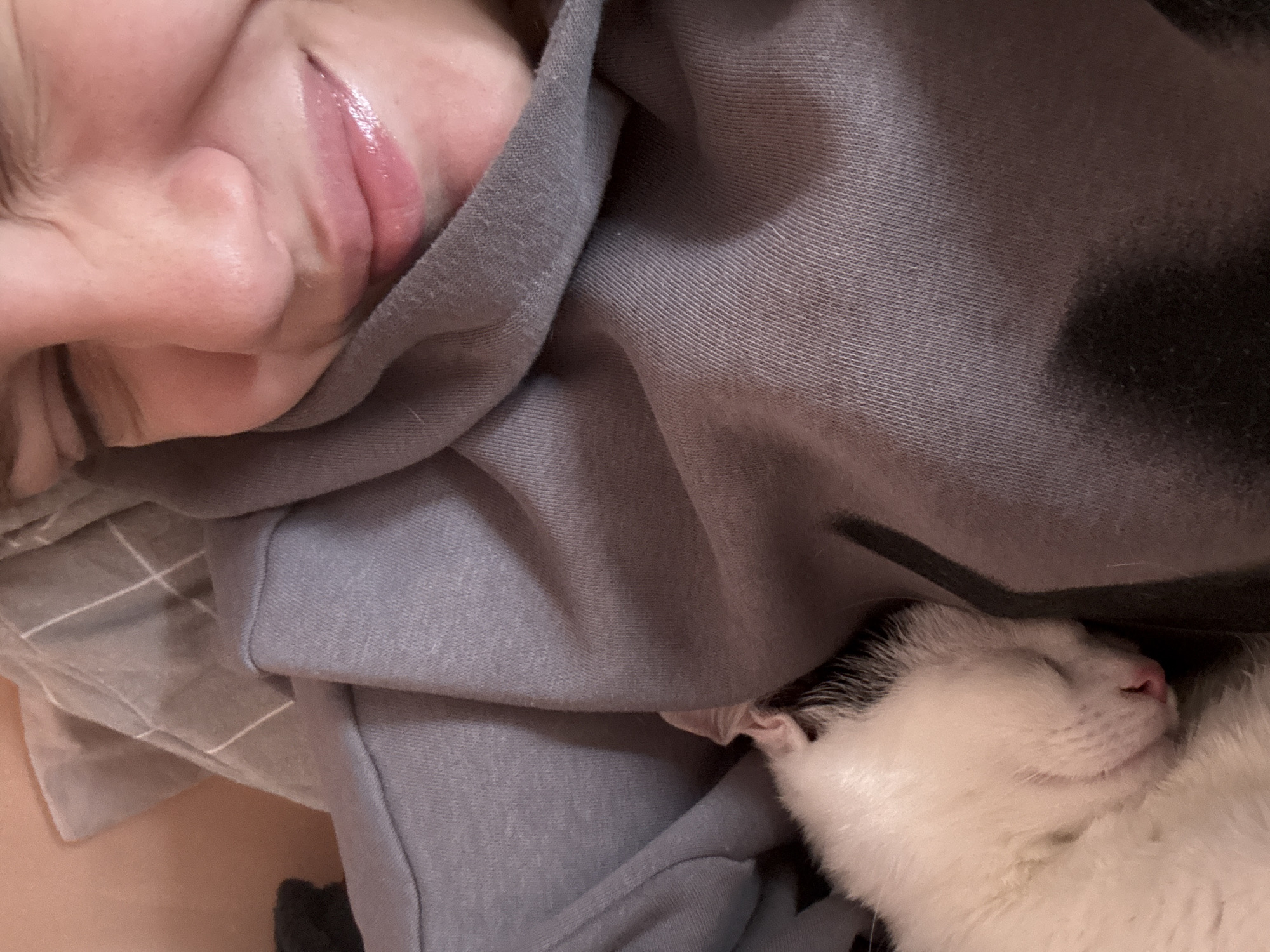 Morning domestic life captured across Sofia homes with pets