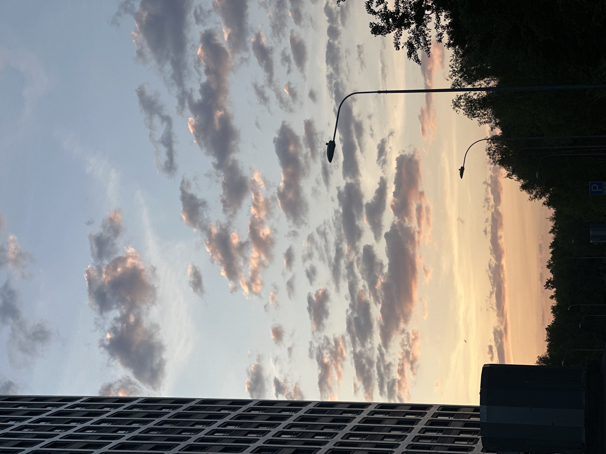 Sunset with pink-gray clouds observed over urban street scene