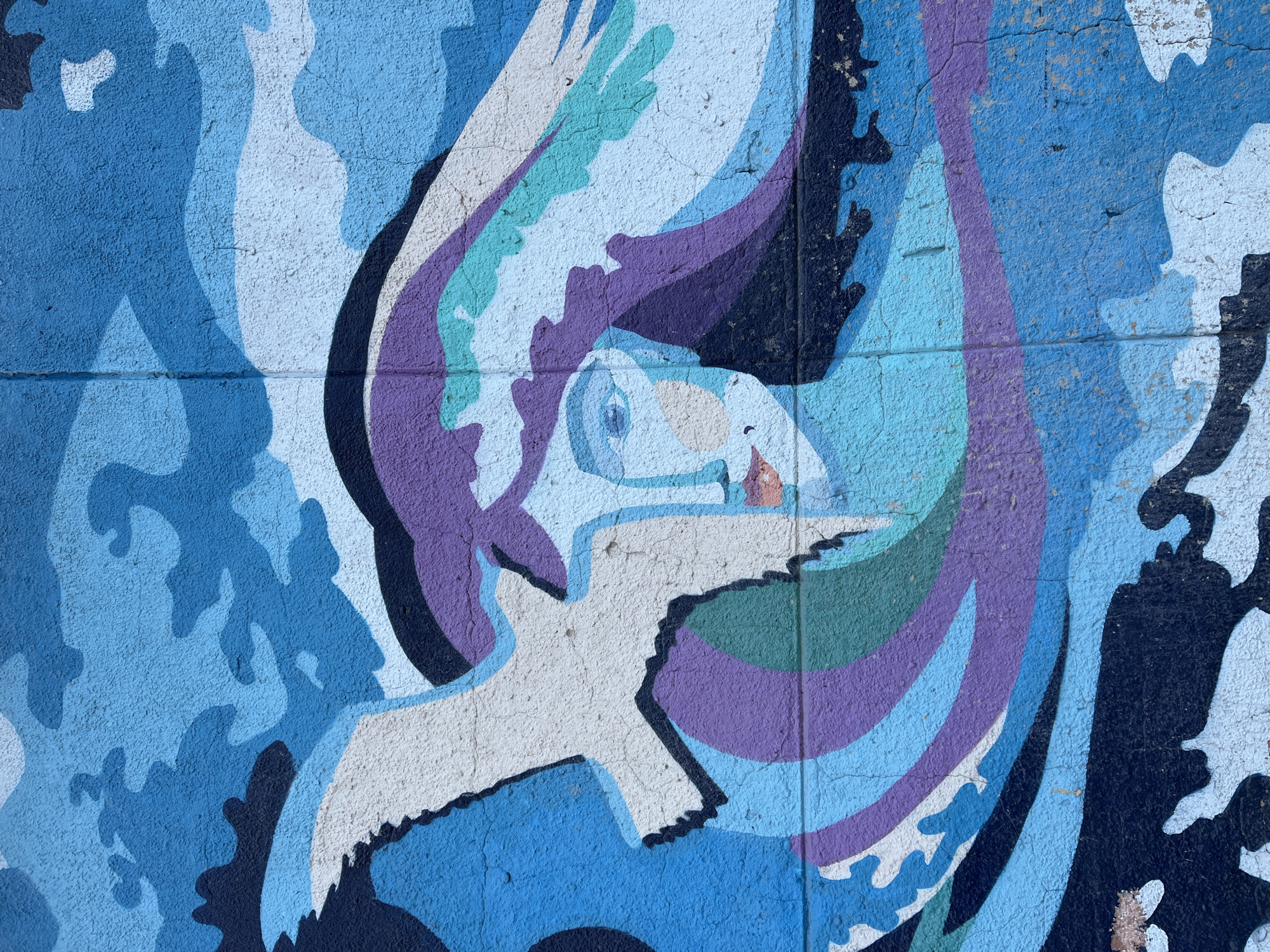 Vibrant street mural documented in Krasnoyarsk, Russia