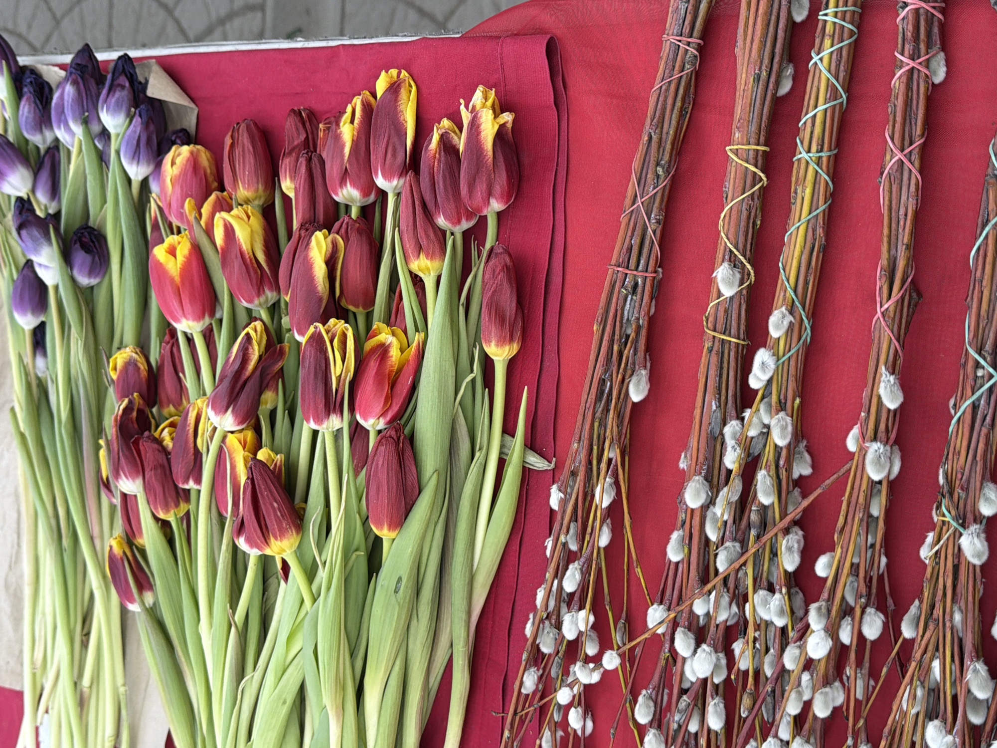 Tulips and willow branches sold at flower stall in Krasnoyarsk