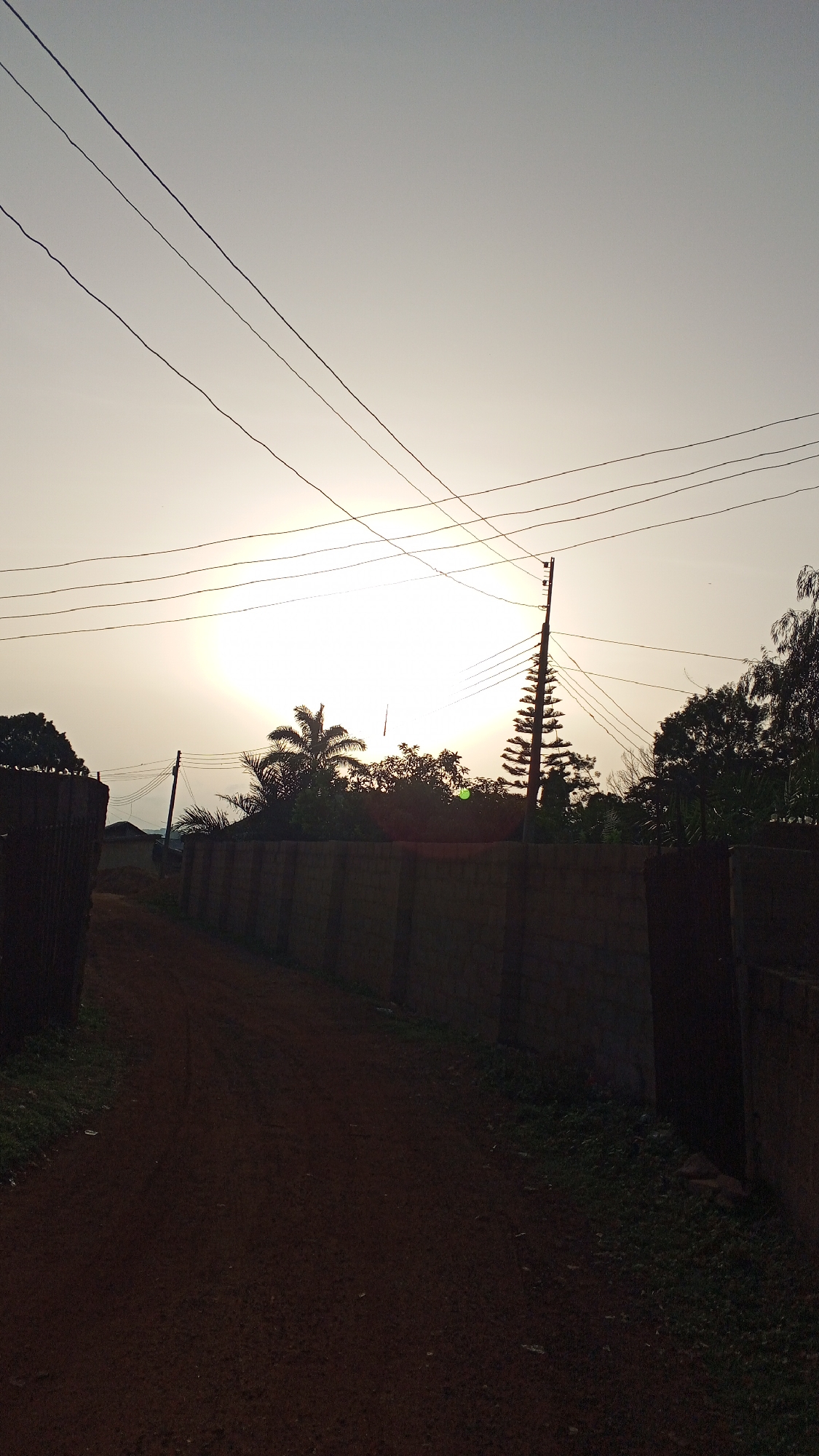 Rural landscape with power lines documented during morning hours