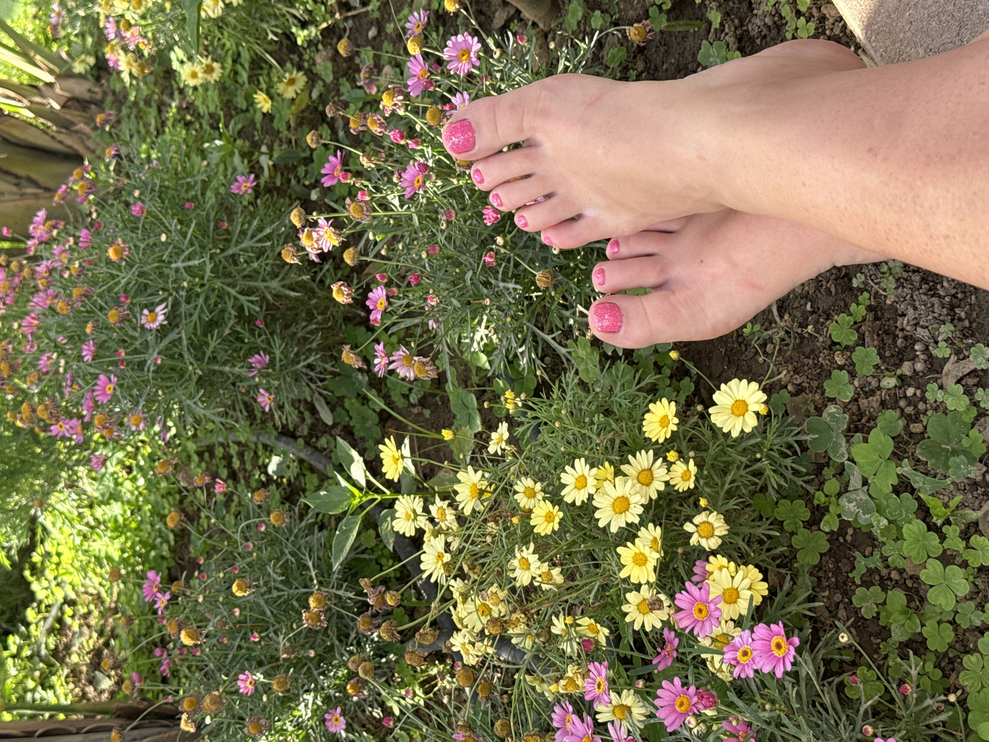 Quiet garden moments captured in Alanya's tropical setting