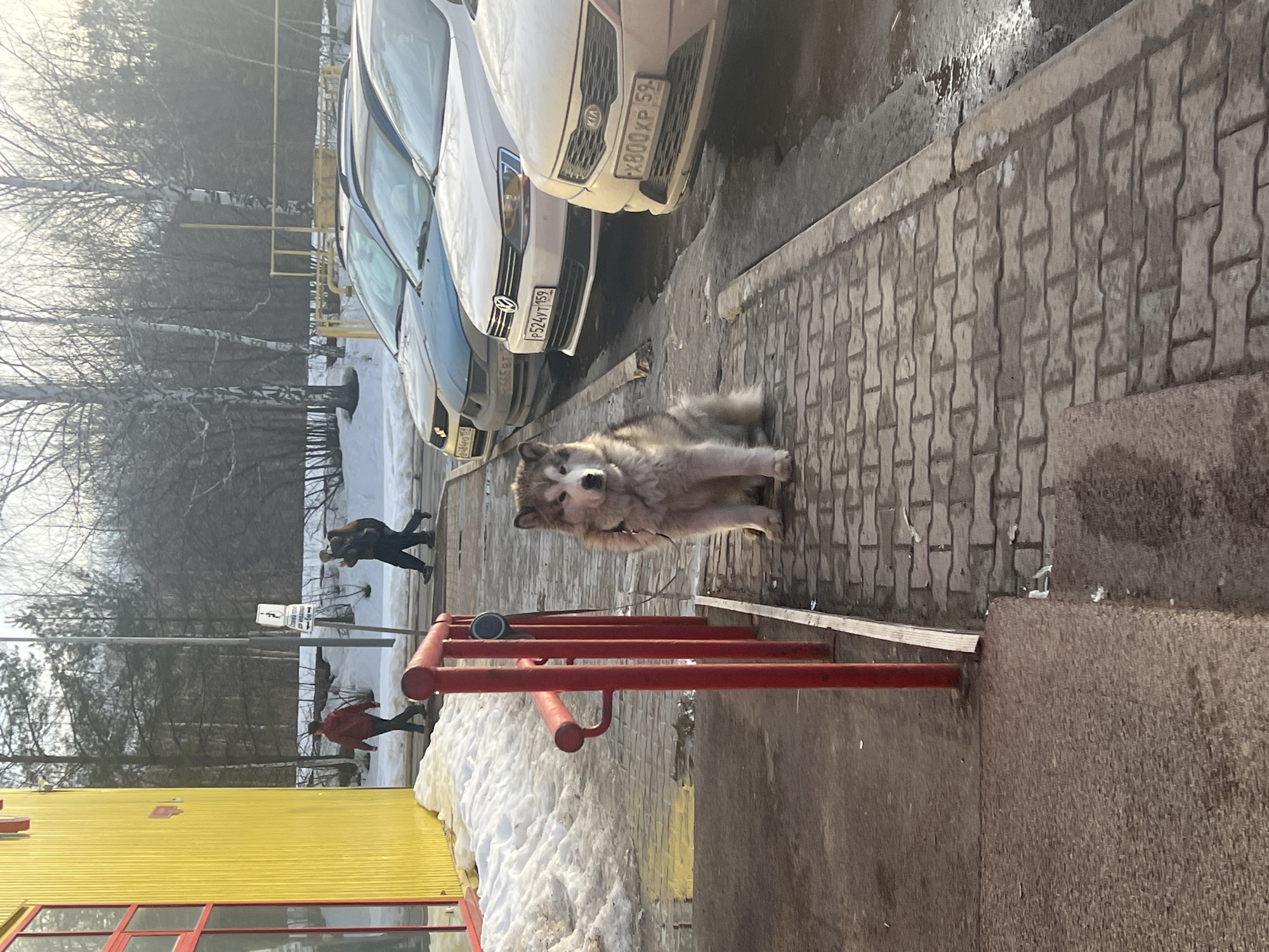 Daily life documented across Chaikovsky, Russia during spring afternoon