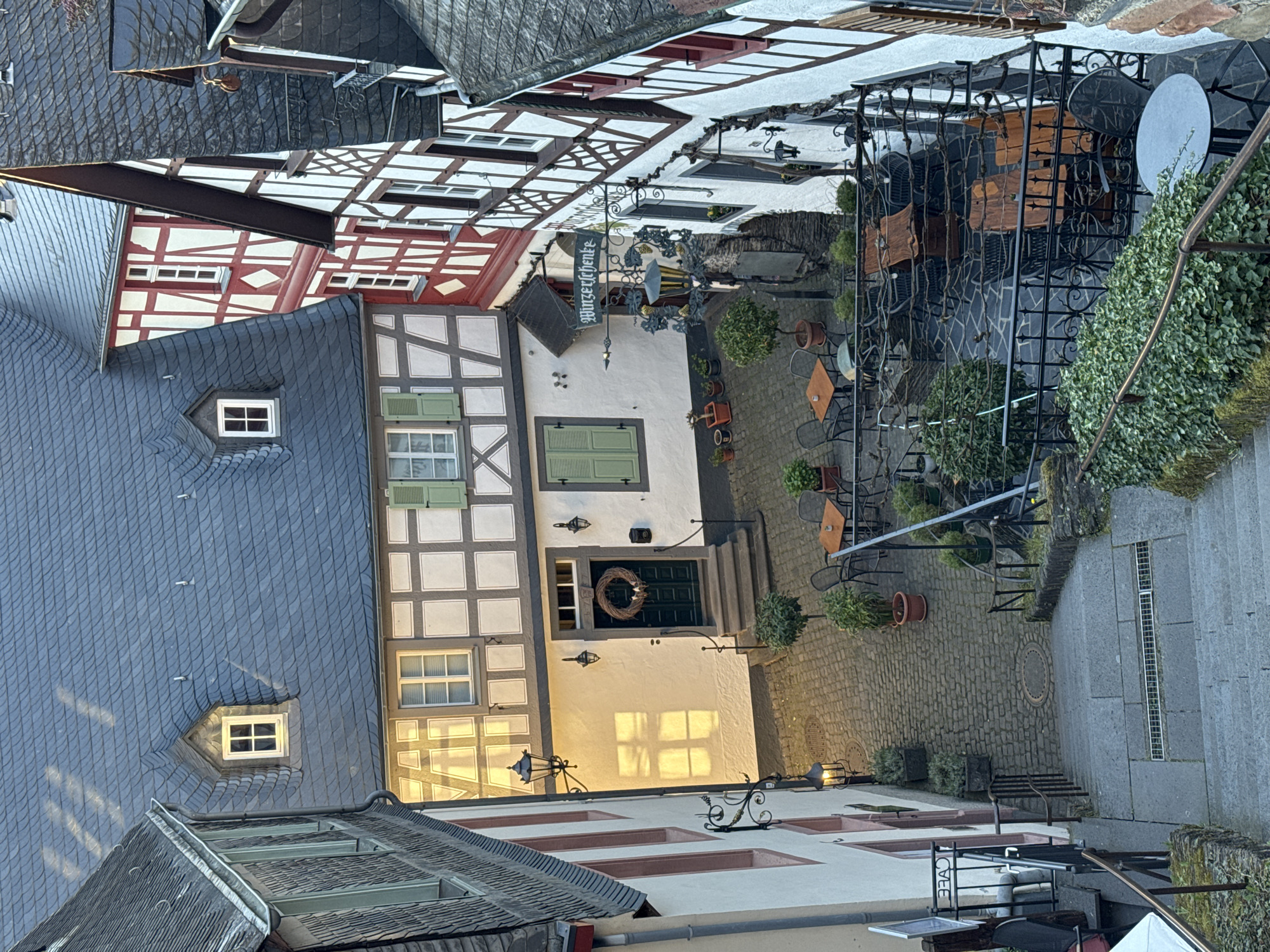 White swan nesting and swimming observed in Beilstein, Germany