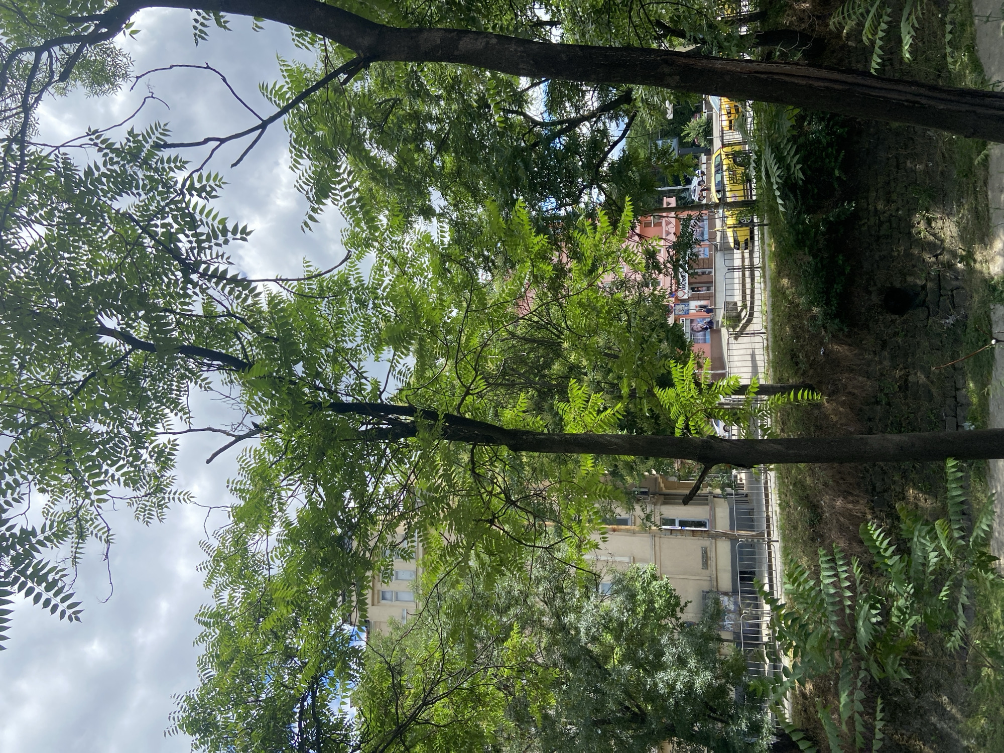 Street scenes and selfie captured in Sofia, Bulgaria
