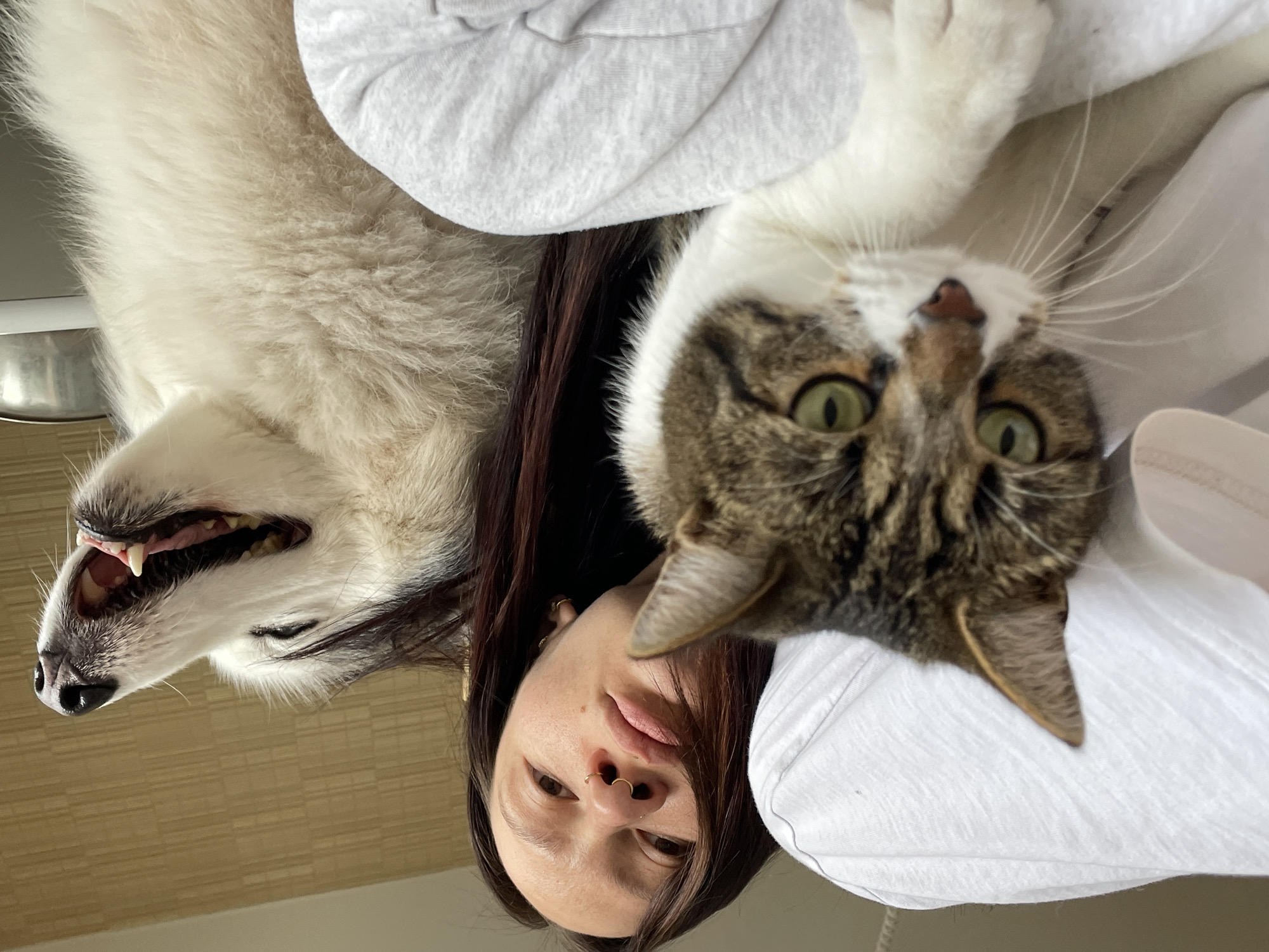 Woman poses with cat and dog in Izhevsk selfie