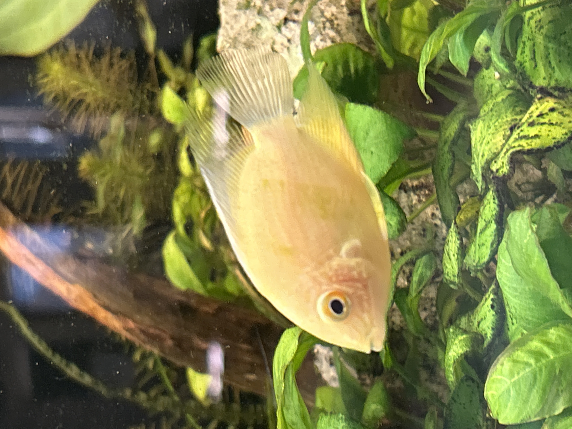 Zoo visit in Sofia captures aquarium fish and wildlife