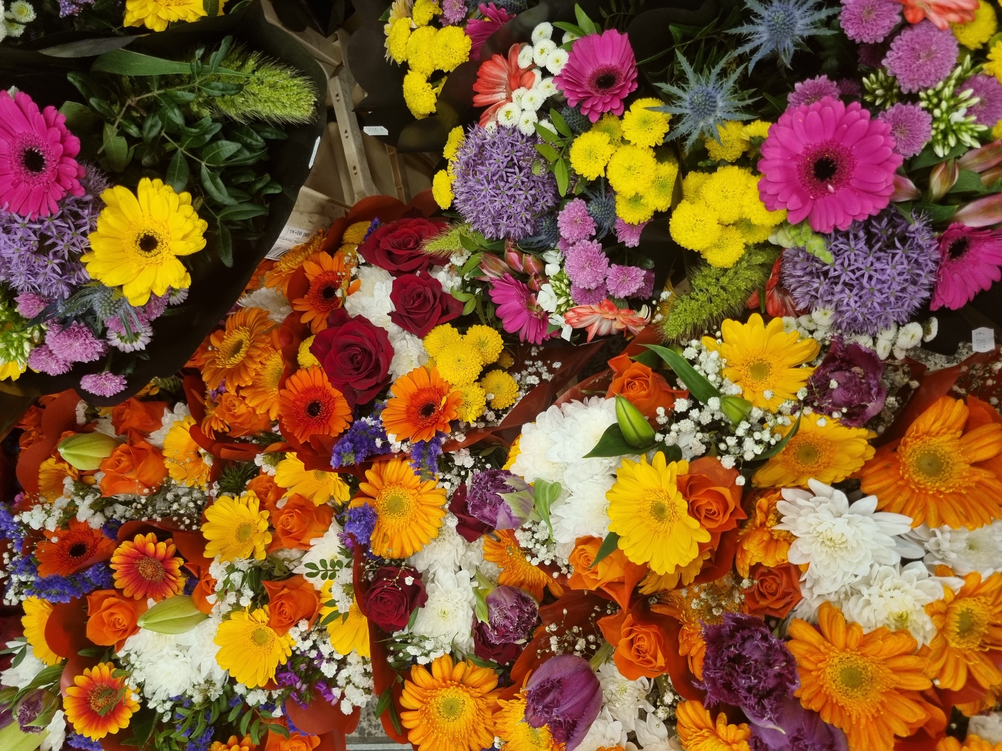 Flower shop displays documented near Stuttgart Hauptbahnhof station