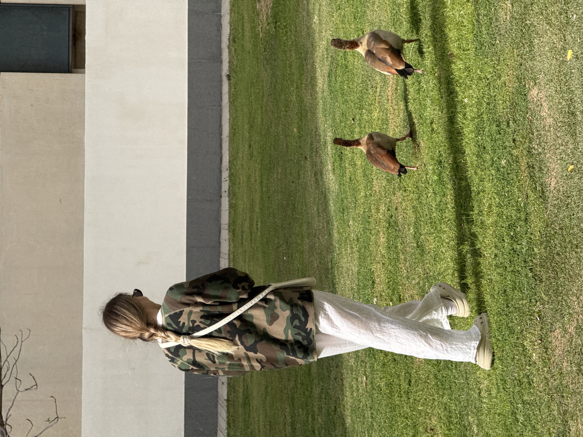 Person and Egyptian geese share Tel Aviv park space