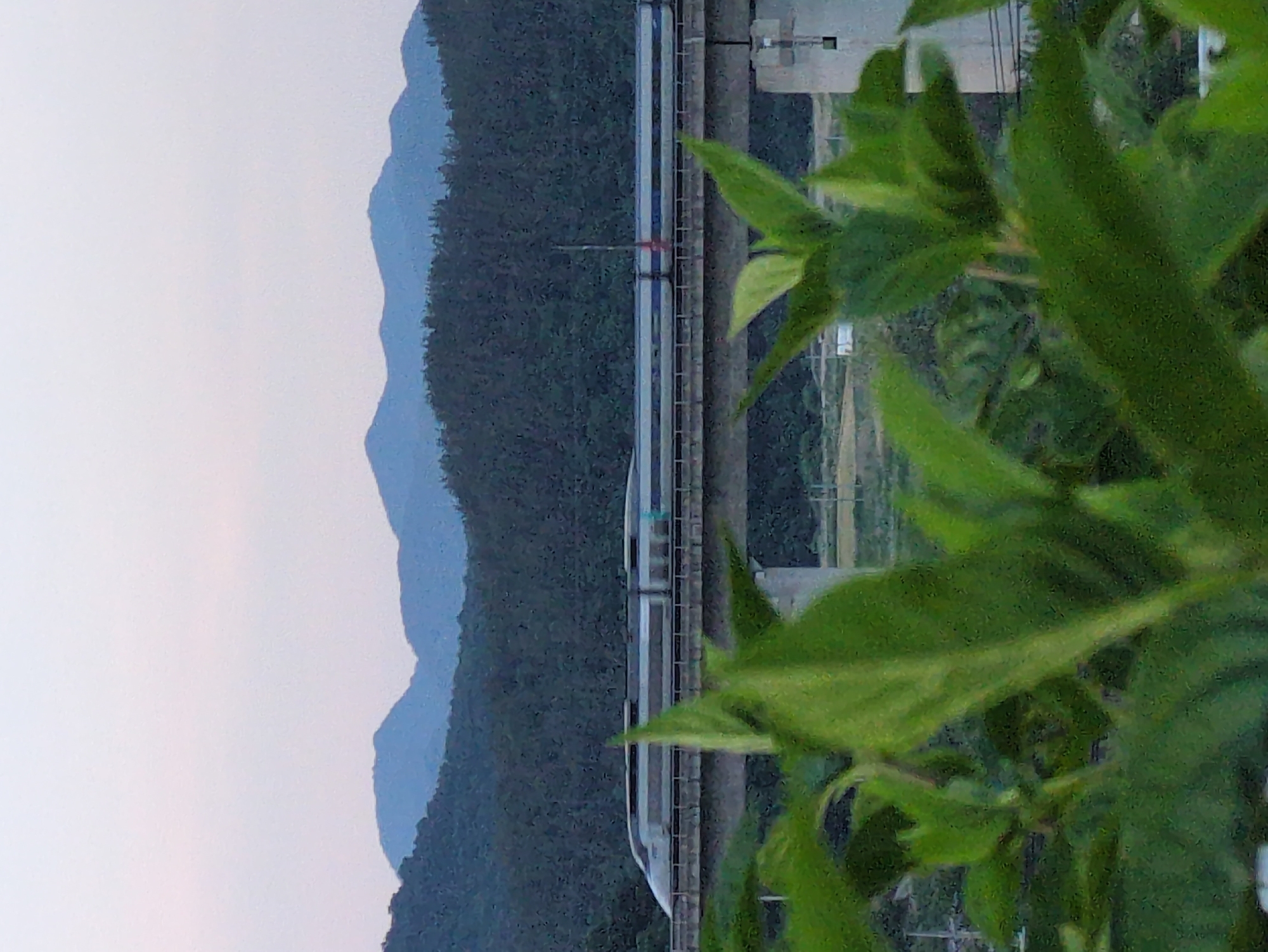 Modern train passes through blooming spring landscape in Iwon
