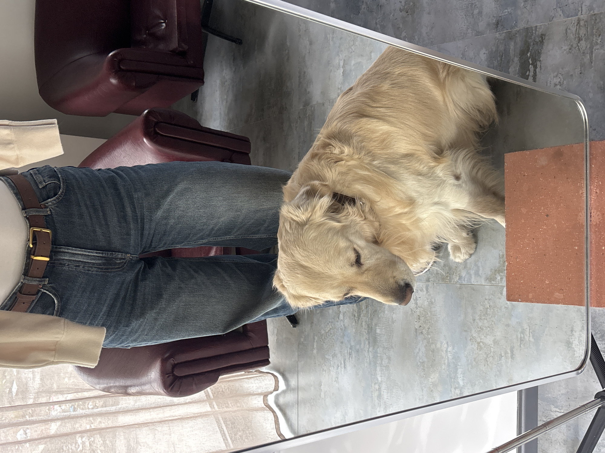 Woman and Golden Retriever take selfies together in Armenia