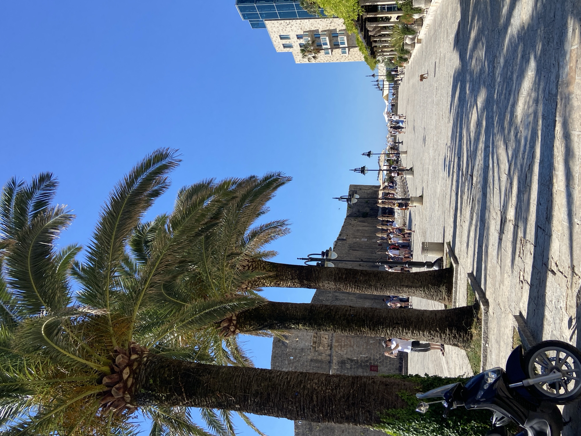 Budva's waterfront comes alive on a sunny summer morning