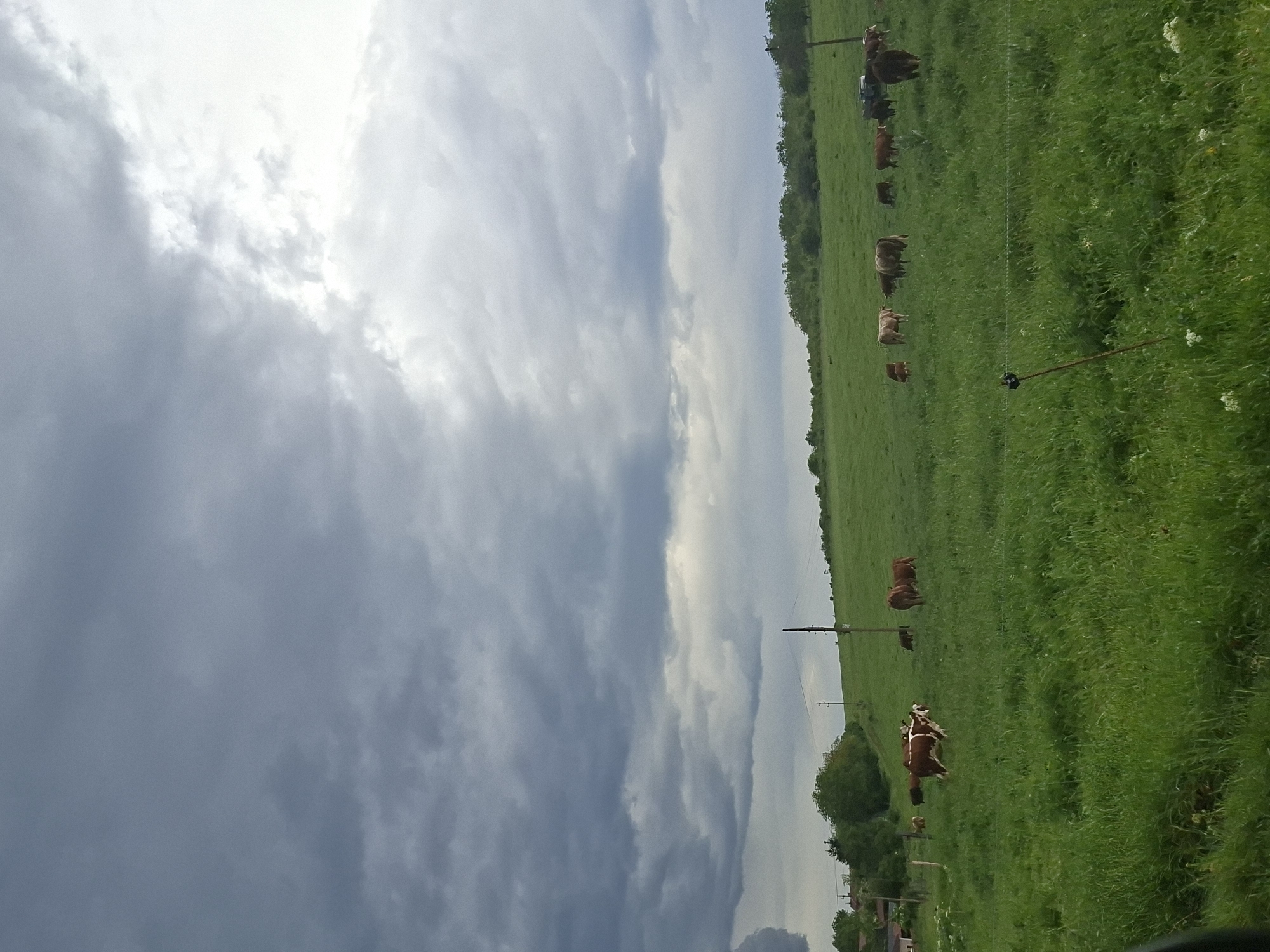 Horse grazes under storm clouds in rural Bulgaria