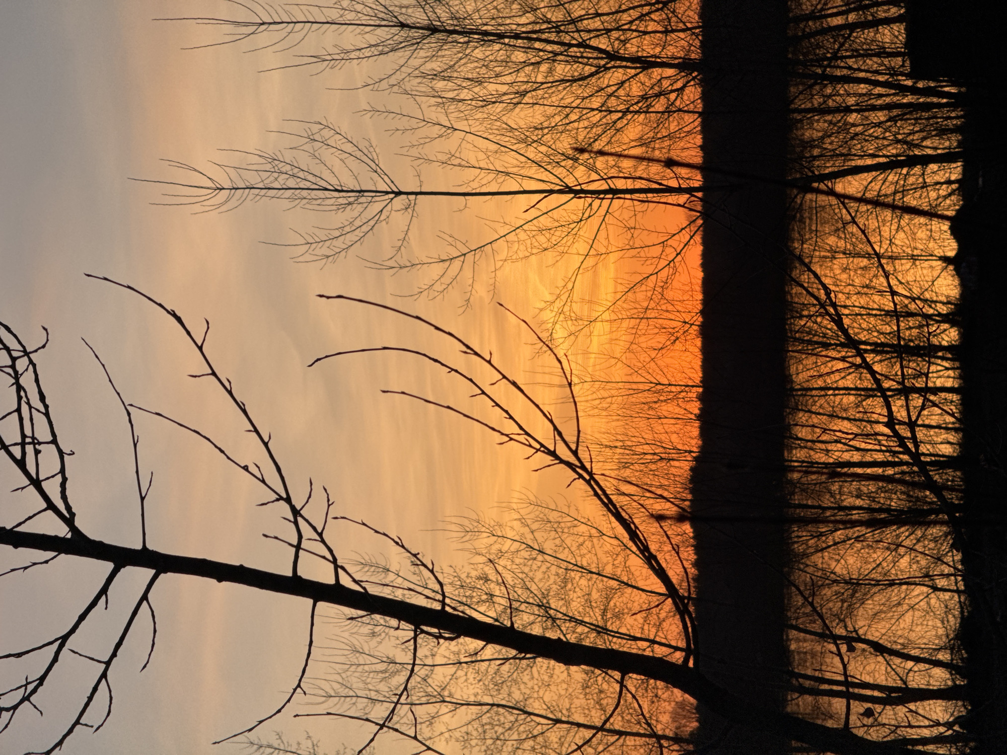 Sunset walk documented through Chaikovsky forests and paths