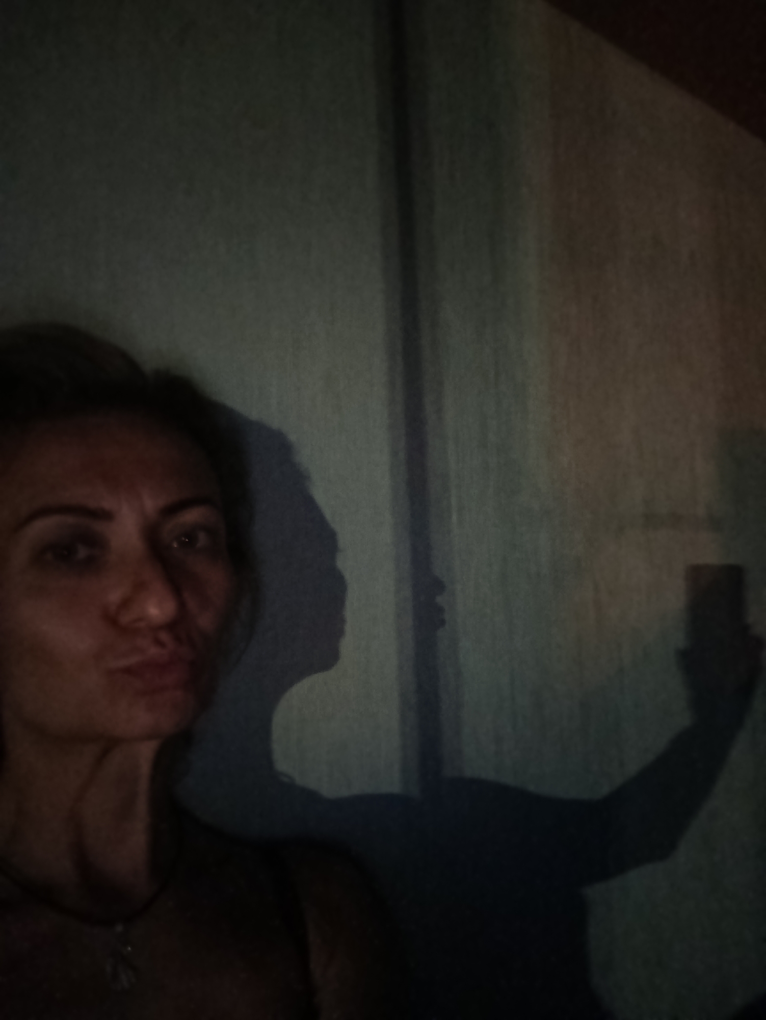 Moscow evening: selfies, moon shots, and shadow play