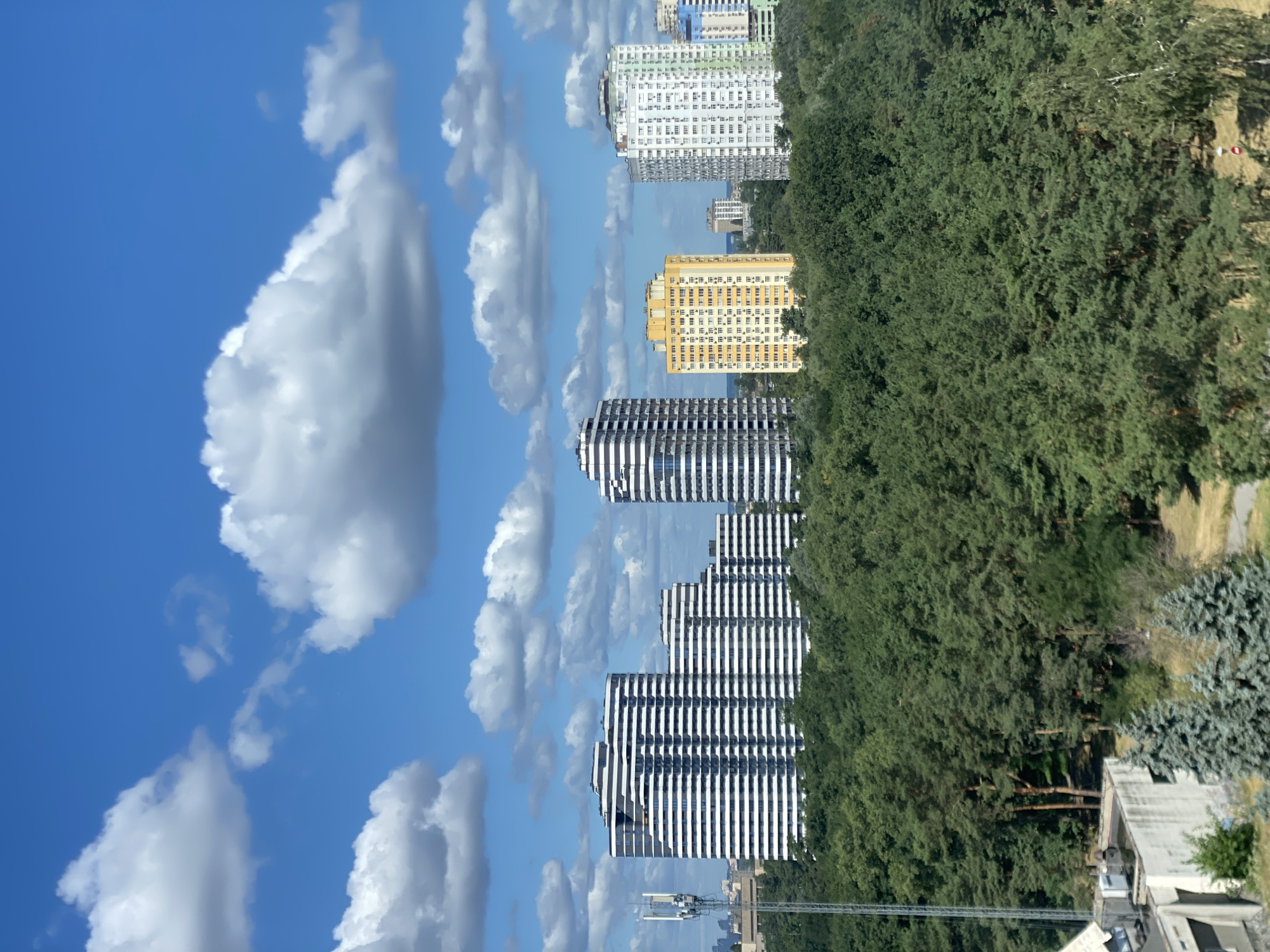City skyline rises behind a dense urban forest buffer