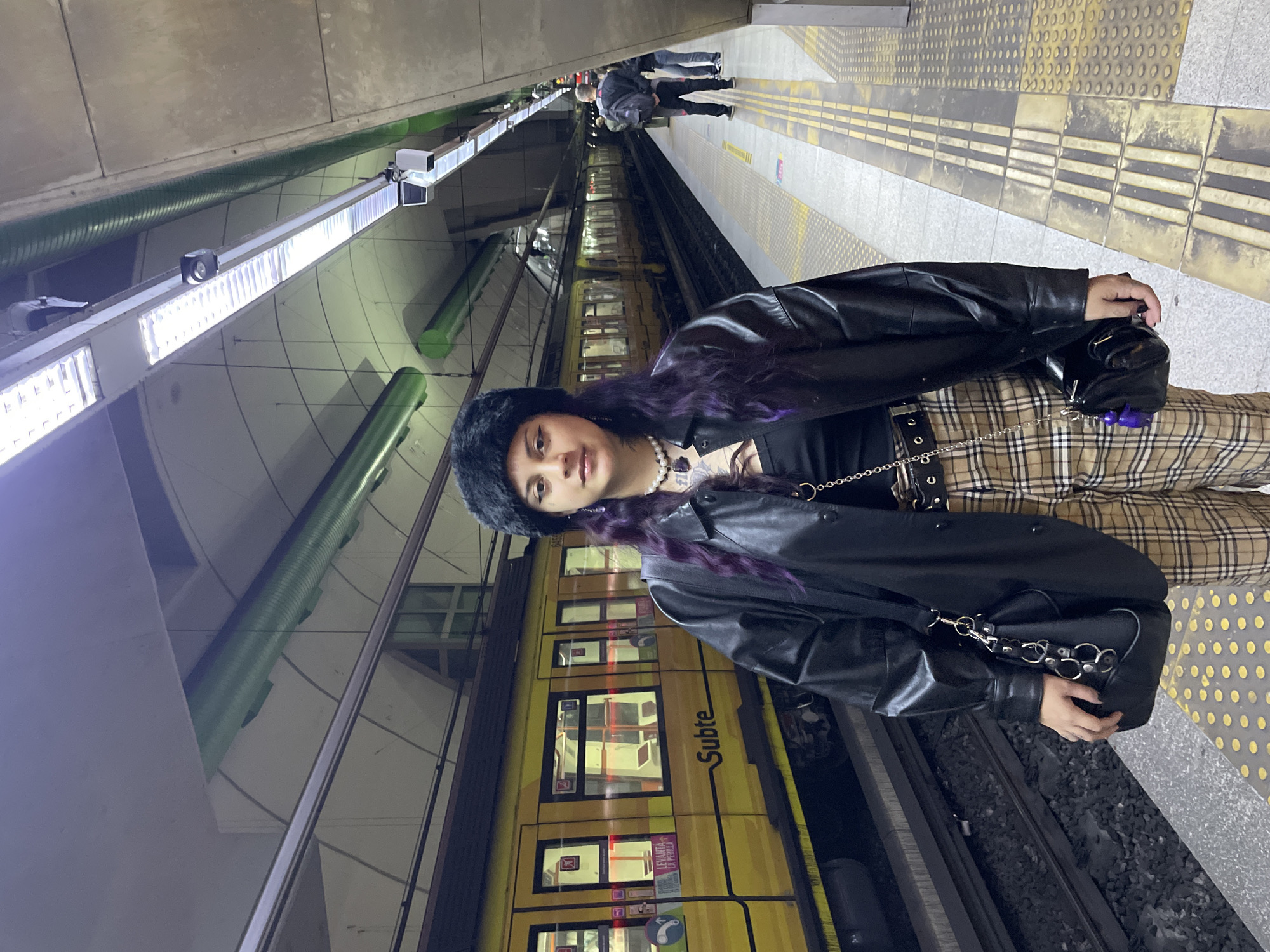 Evening commuters, purple-haired woman documented at Buenos Aires subway