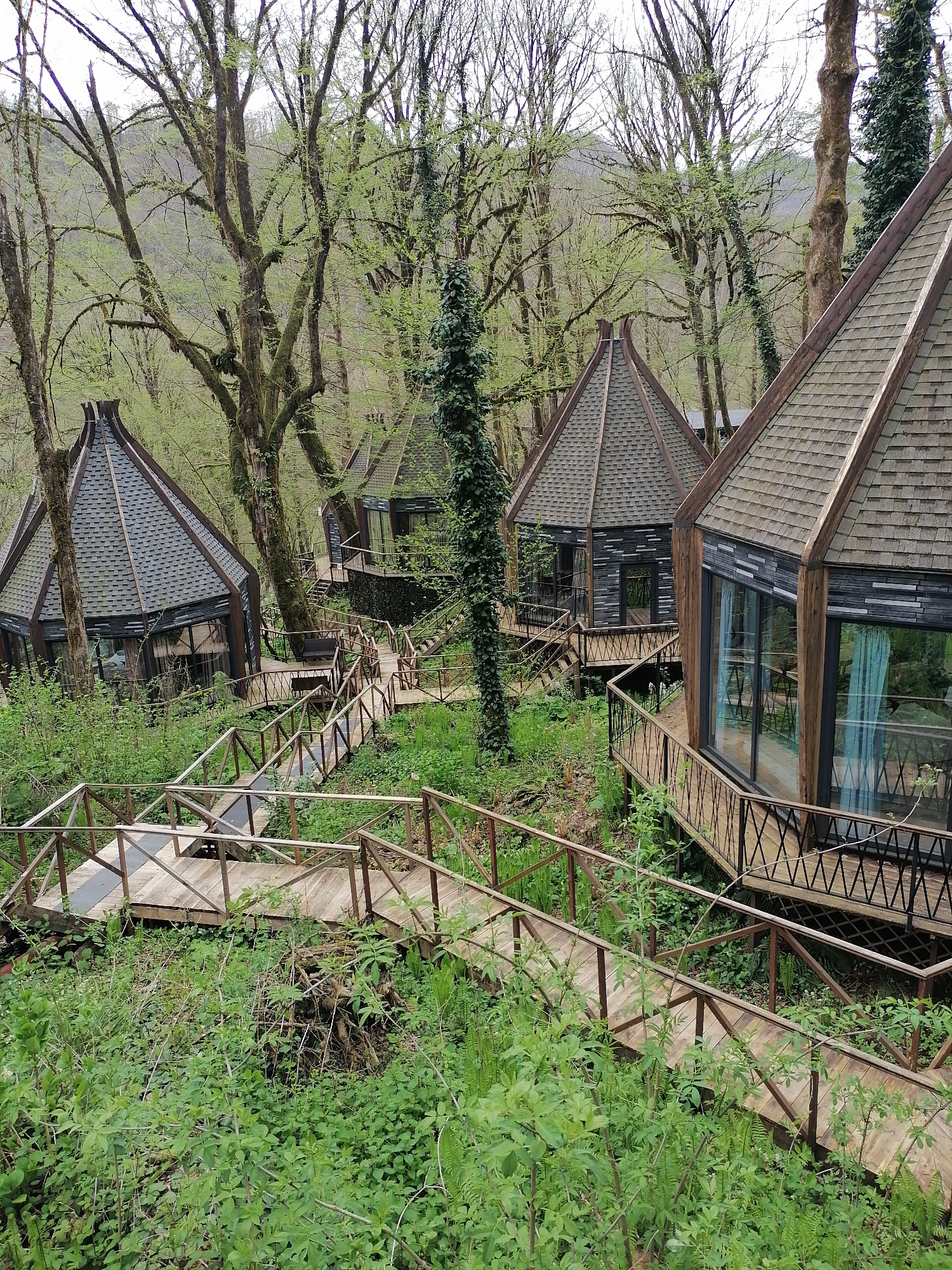Forest cabins and spring wildflowers documented in Medoveevka