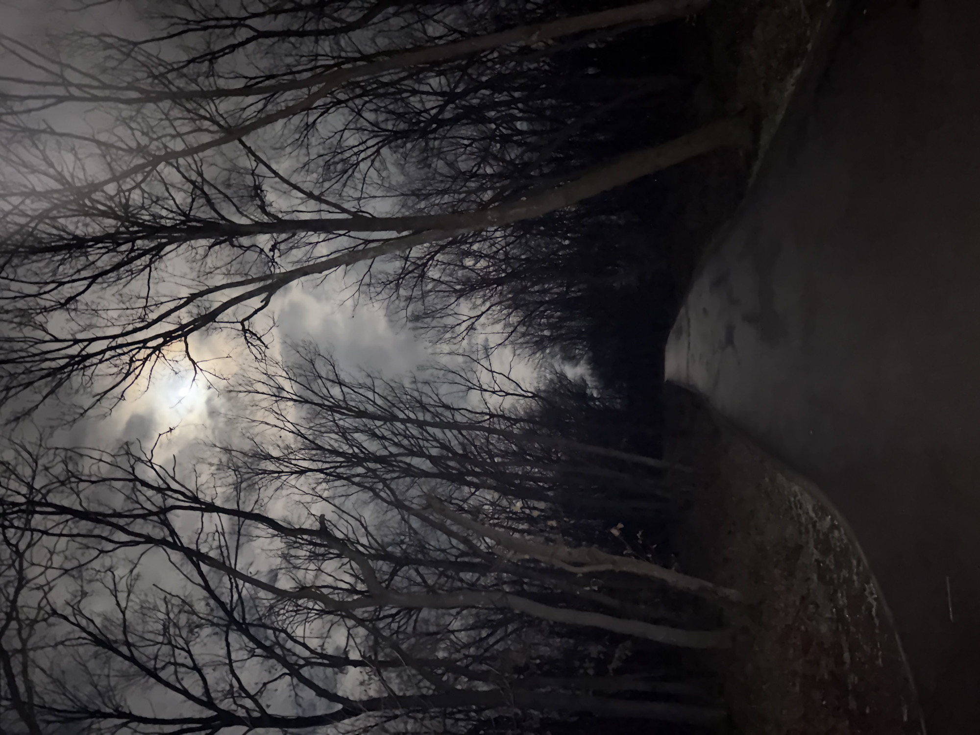 Cloudy moon visible through bare branches in Haskovo