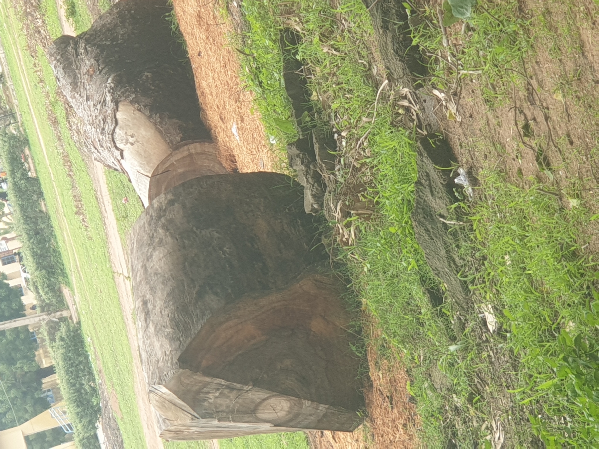 Daily life documented across Jalingo, Nigeria streets and campus