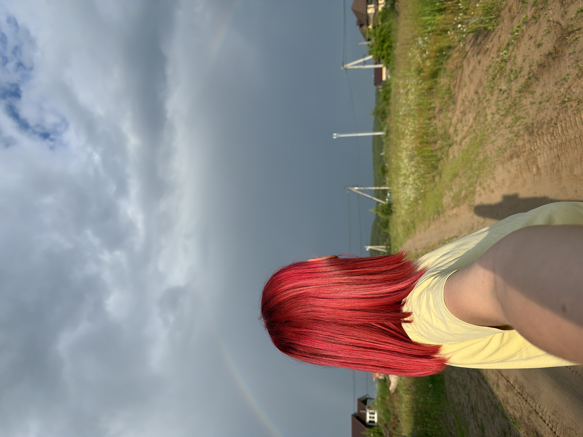 Summer afternoon in Chaikovsky: dogs, cats, rainbows, selfies