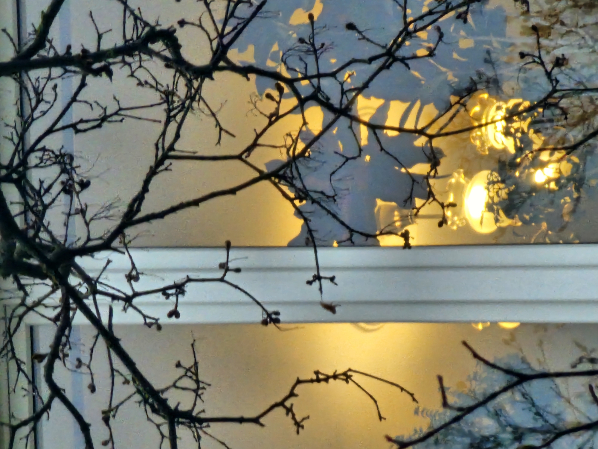 Spring scene captured through window in Khimki, Russia