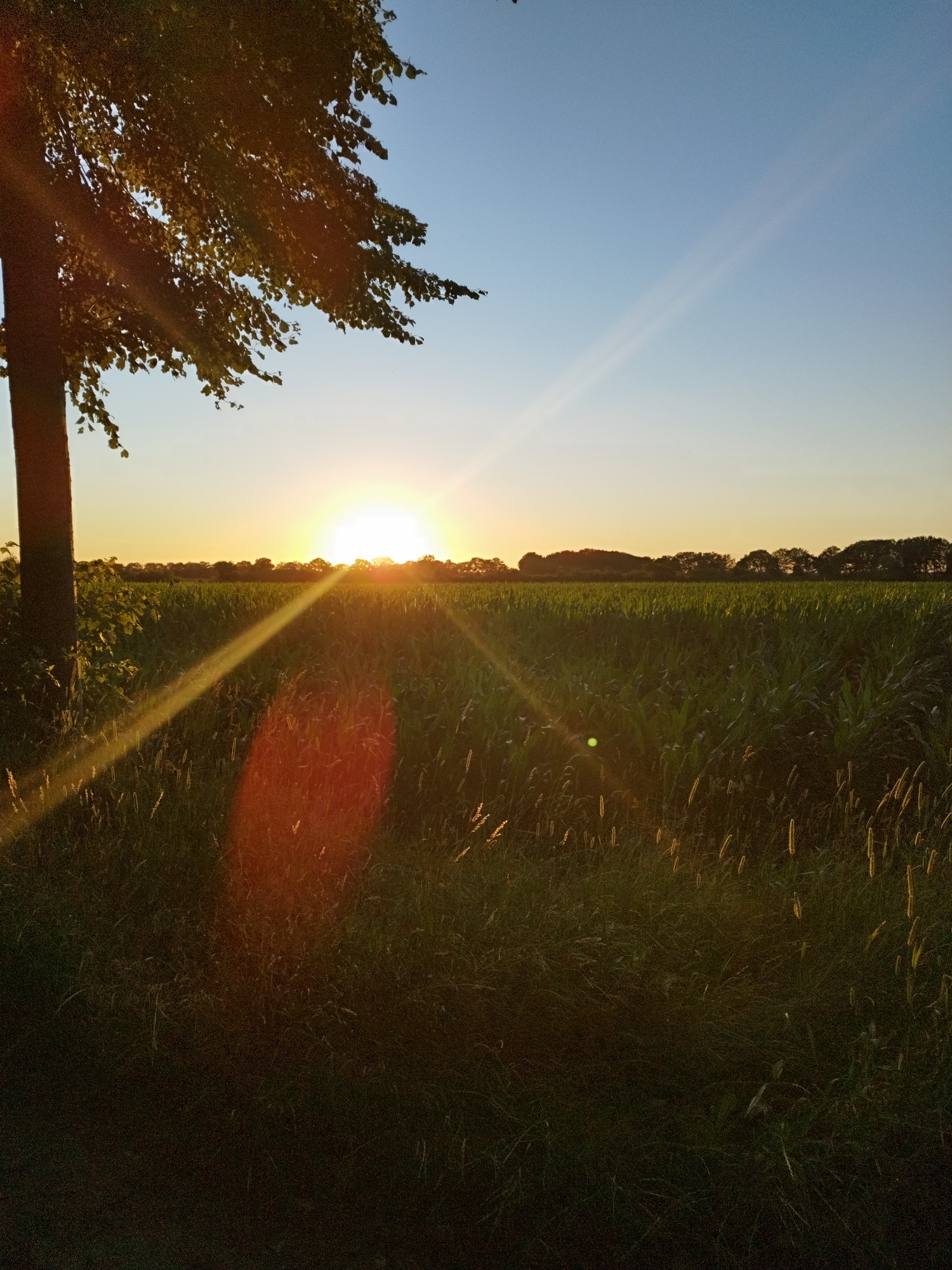 Golden hour wandering through rural Schiffdorf on a summer evening