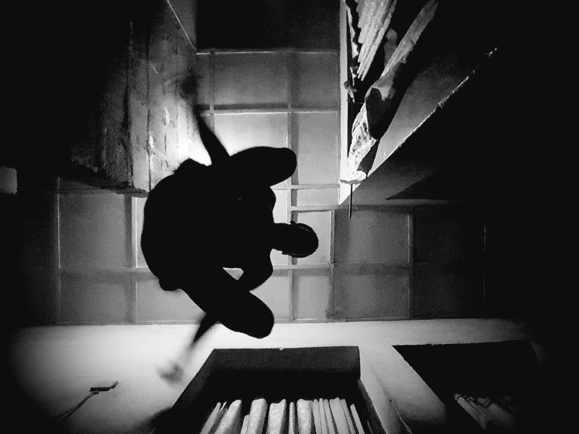 Late-night black and white silhouette shoot inside a Narayi interior