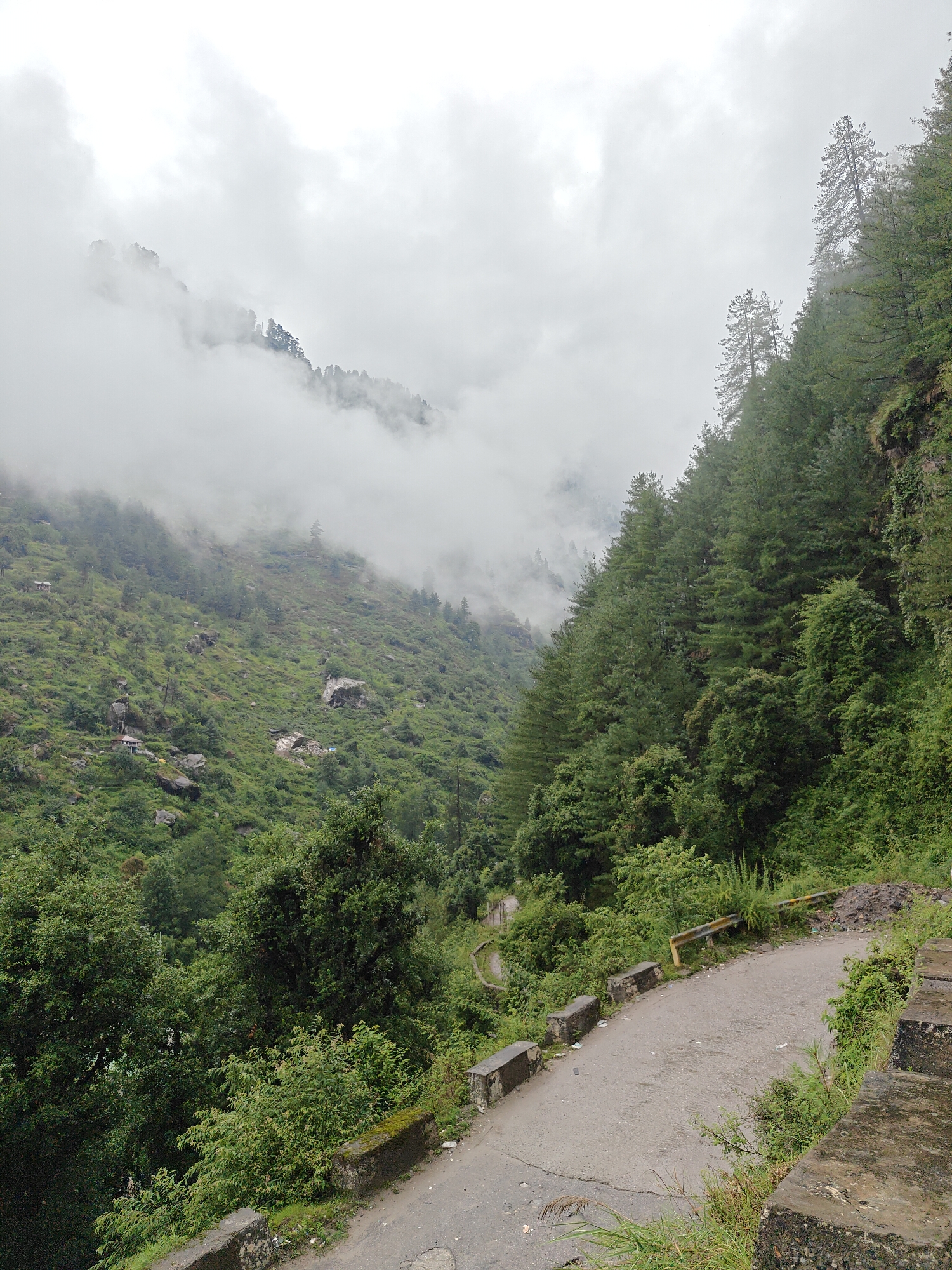 Misty mountain road and power infrastructure in Prini, Himachal Pradesh
