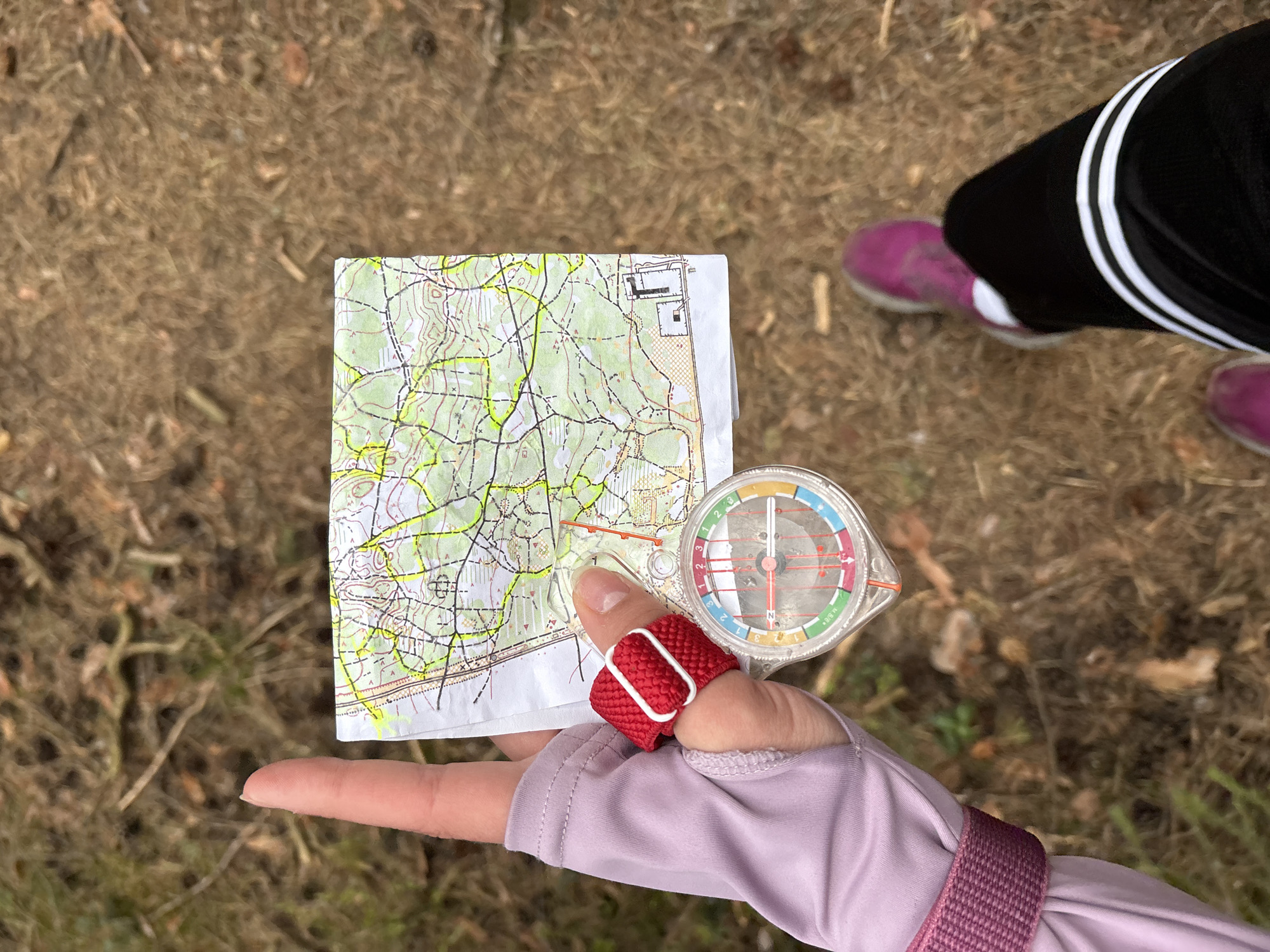 Woman uses map and compass for forest orienteering in Perm