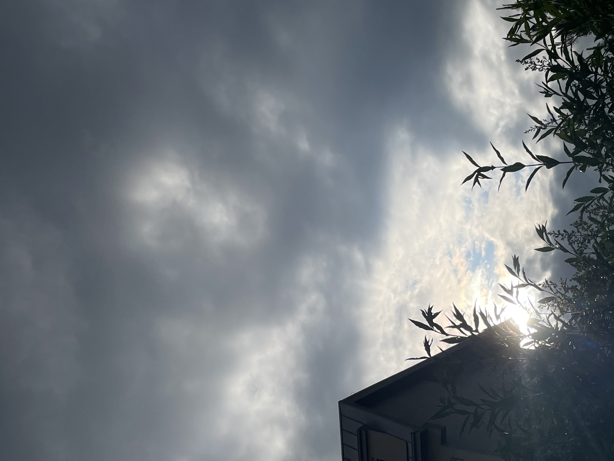 Hour-long documentation captures urban afternoon skies, flowers, street scenes