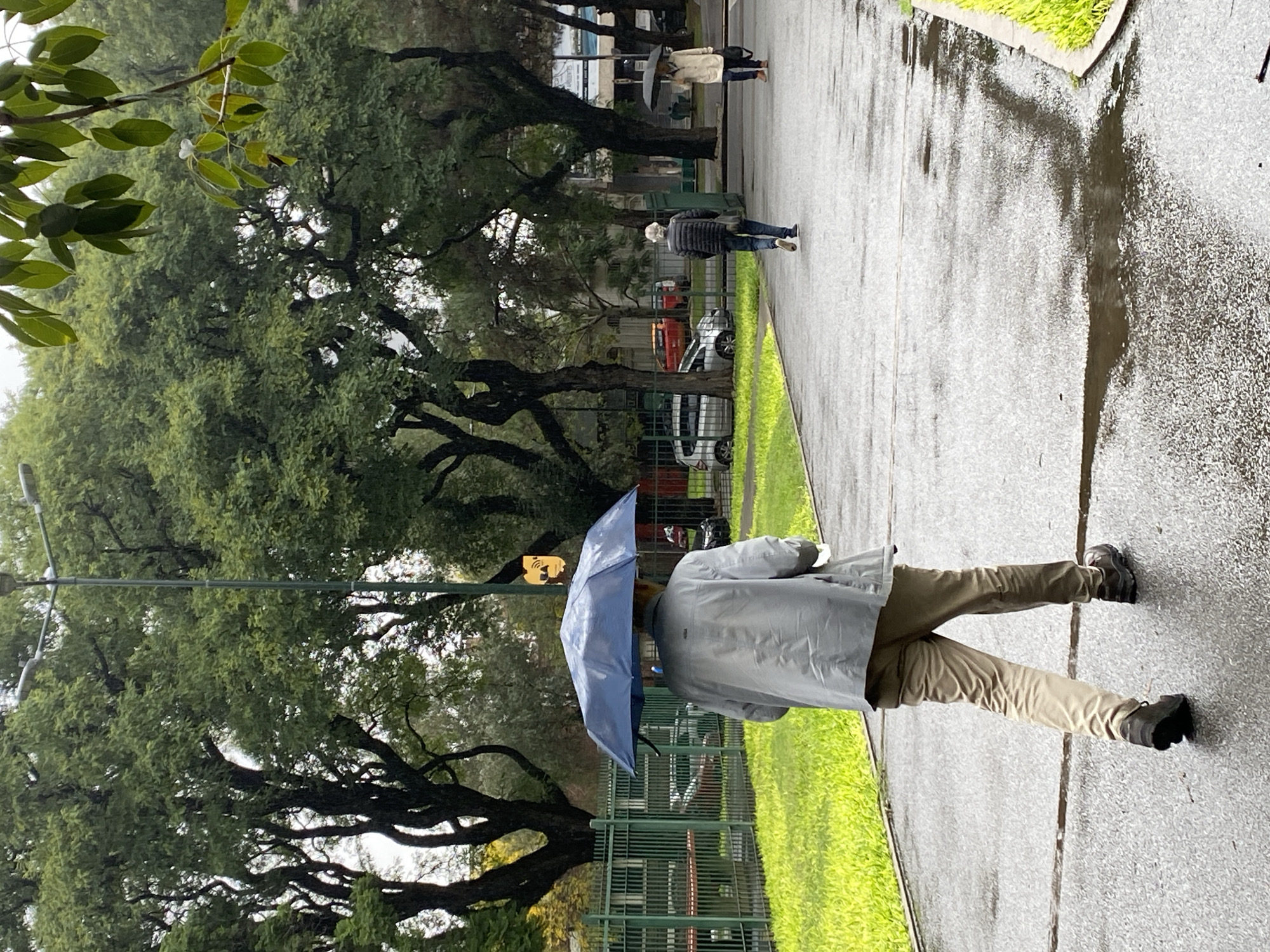 Rainy afternoon documented at Buenos Aires park with monuments
