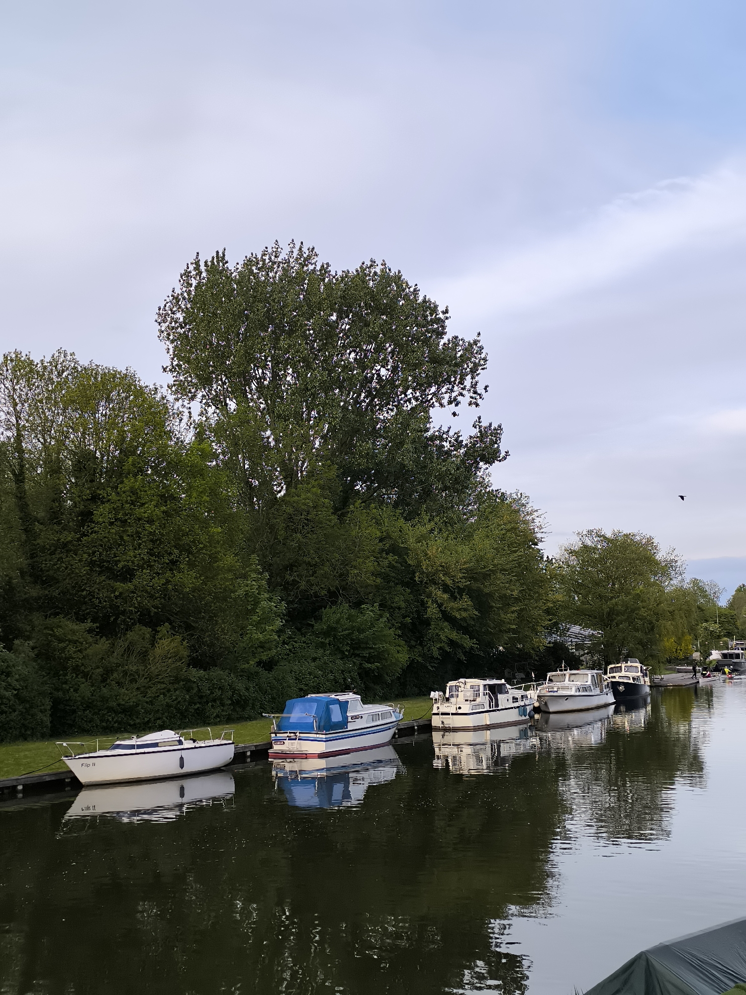 Boats moored along canal in Alkmaar, Netherlands