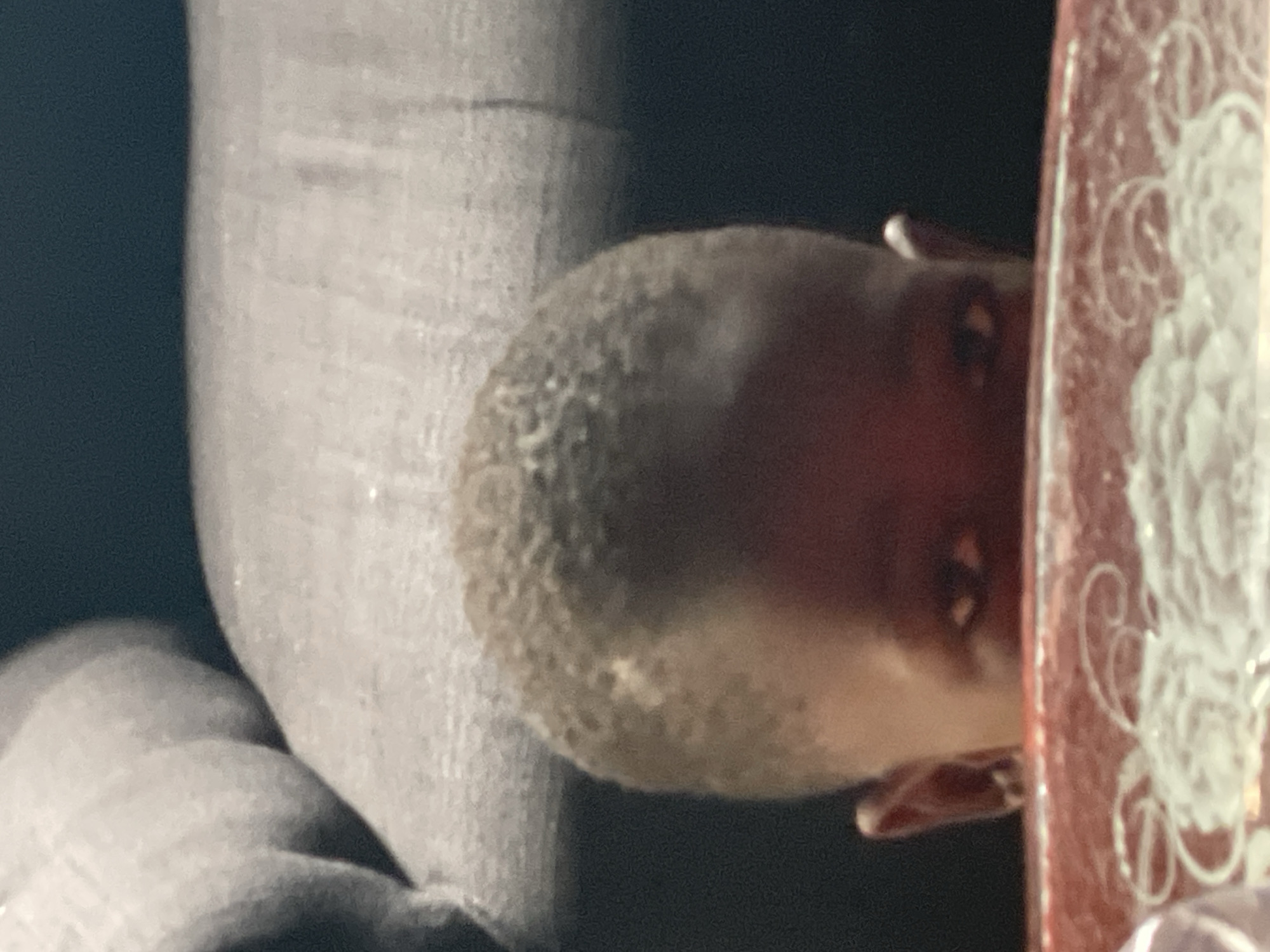 Family meals and daily life documented in Badagry Nigeria