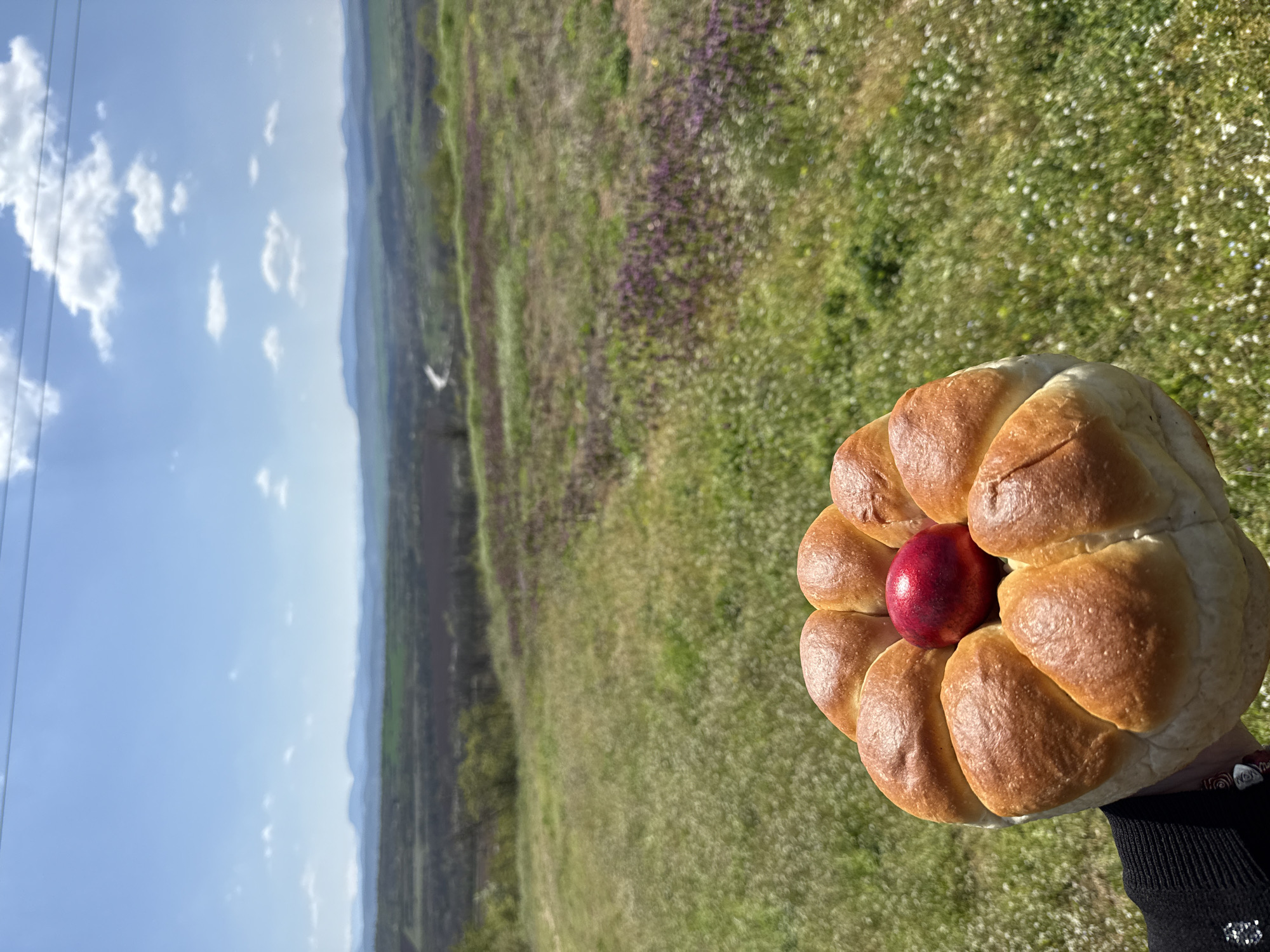 Spring landscape documented near Lukovit, Bulgaria