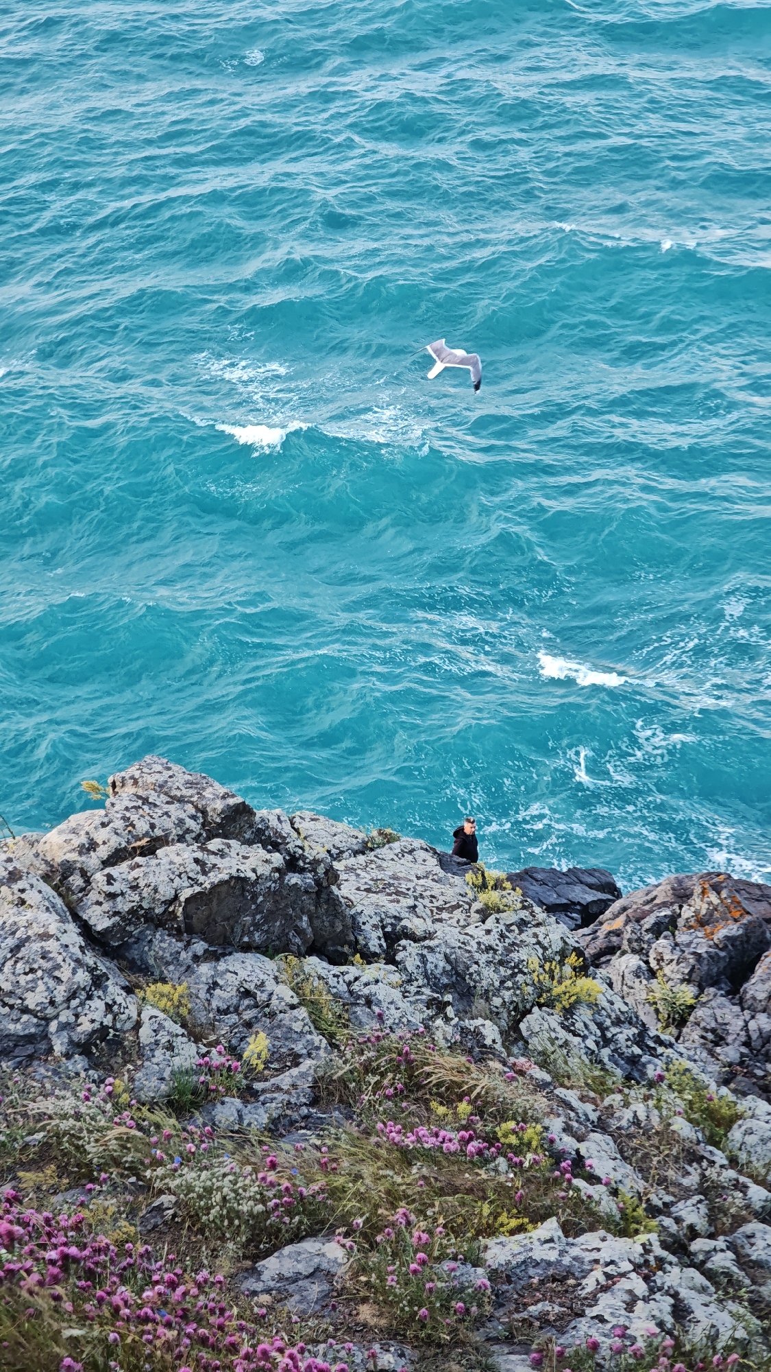 Person stands on rocky coast as seagull flies over Sozopol waters
