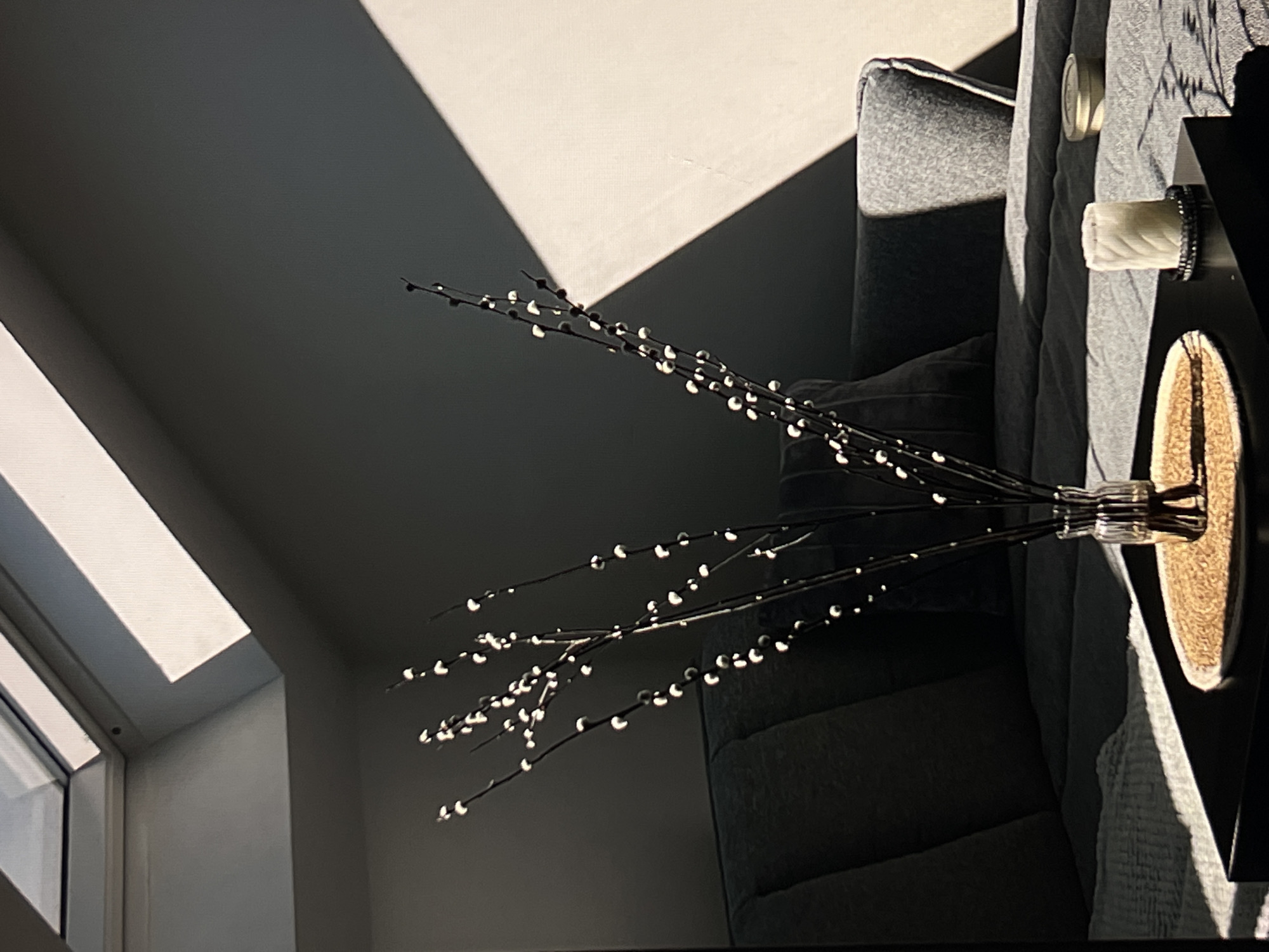 Decorative branch arrangement spotted in Radzymin interior