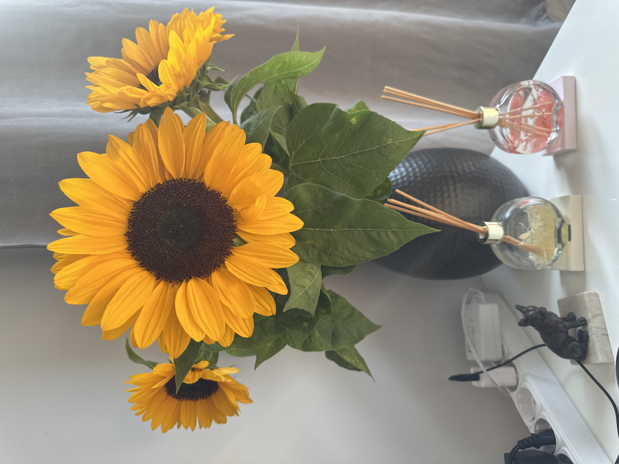 Everyday objects and a Warsaw rooftop view, August afternoon