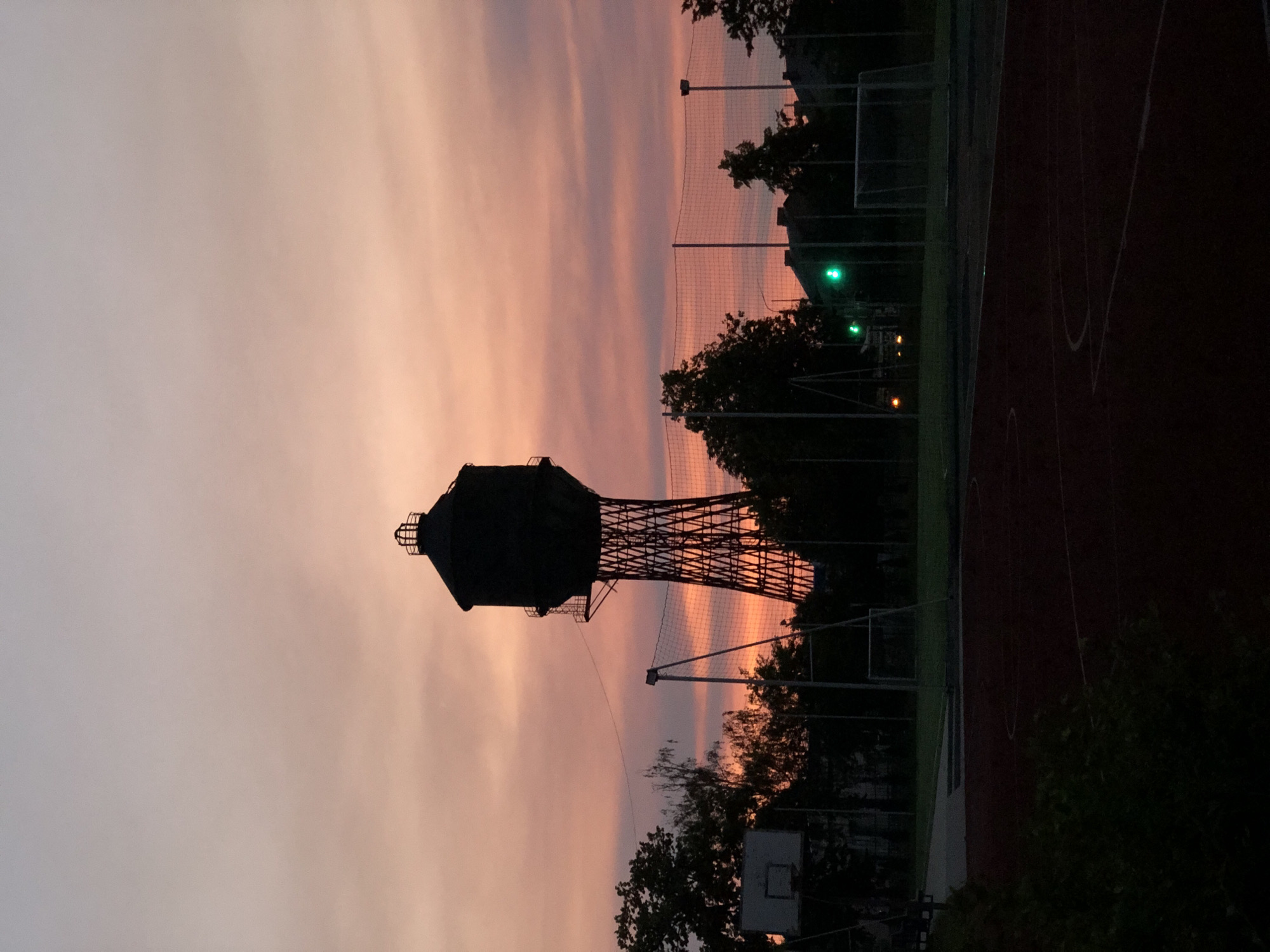 Neighborhood dusk — power lines, water towers, and garden flowers