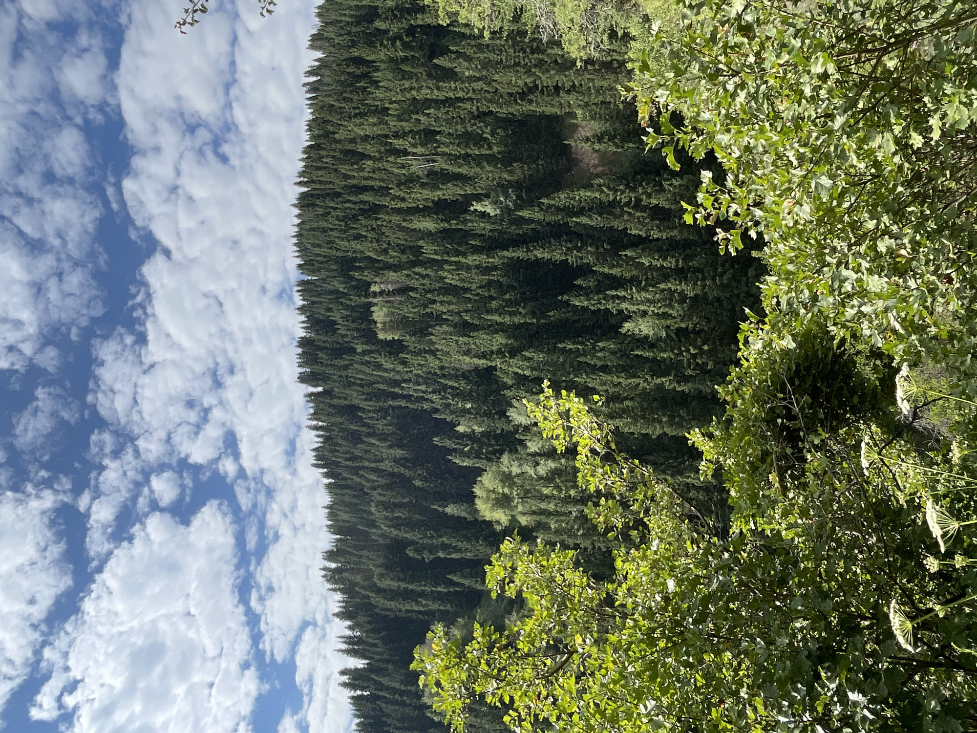 Koklaisai, Kazakhstan