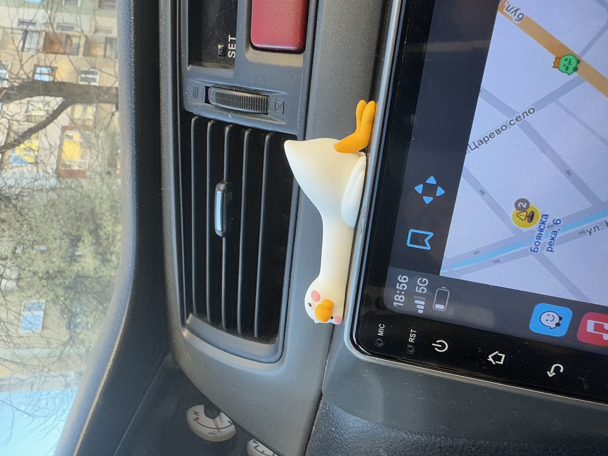 Daily life moments captured across Sofia with car accessories, birds