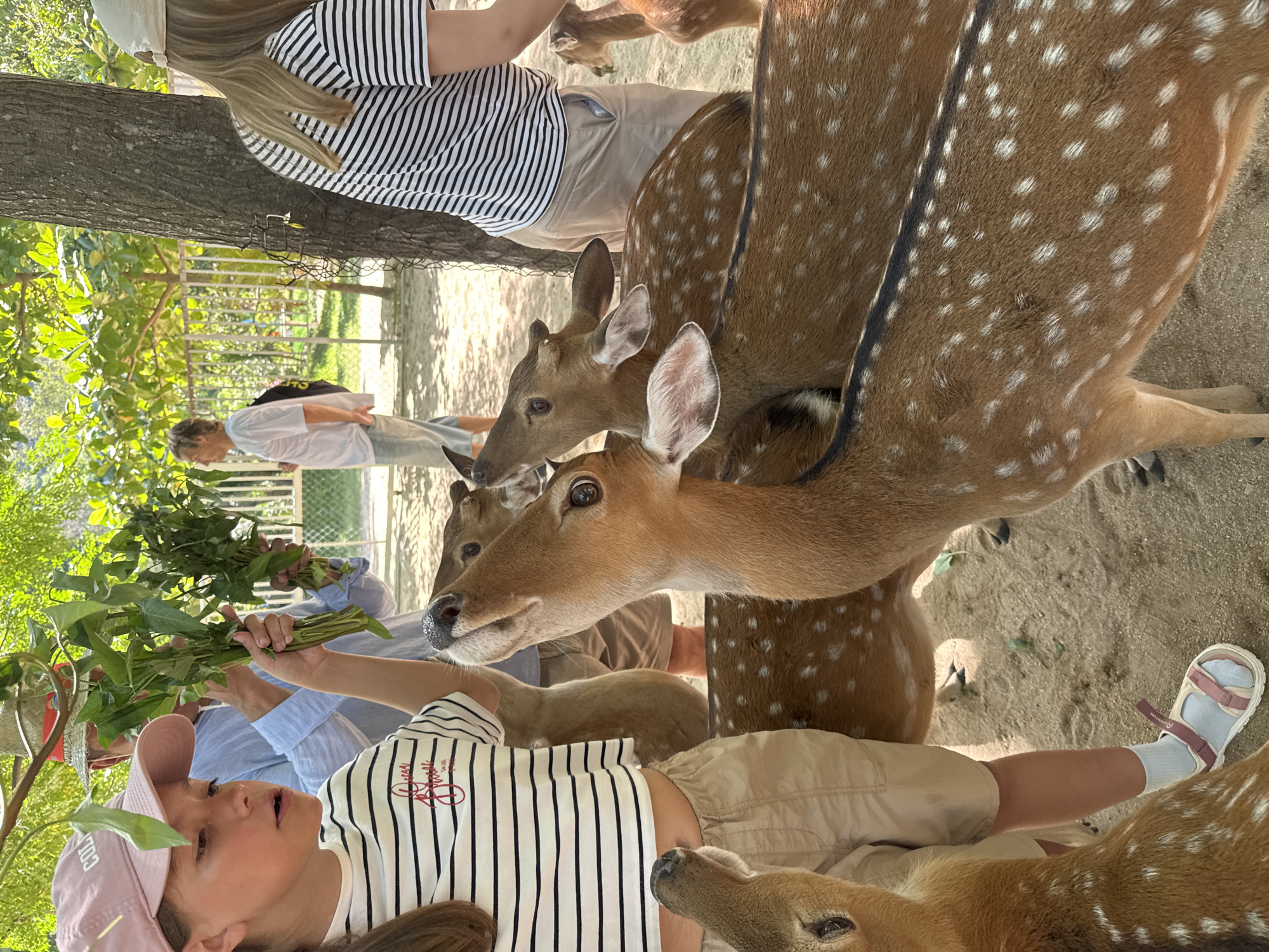 Early morning visit to animal park in Hoa Thang documented